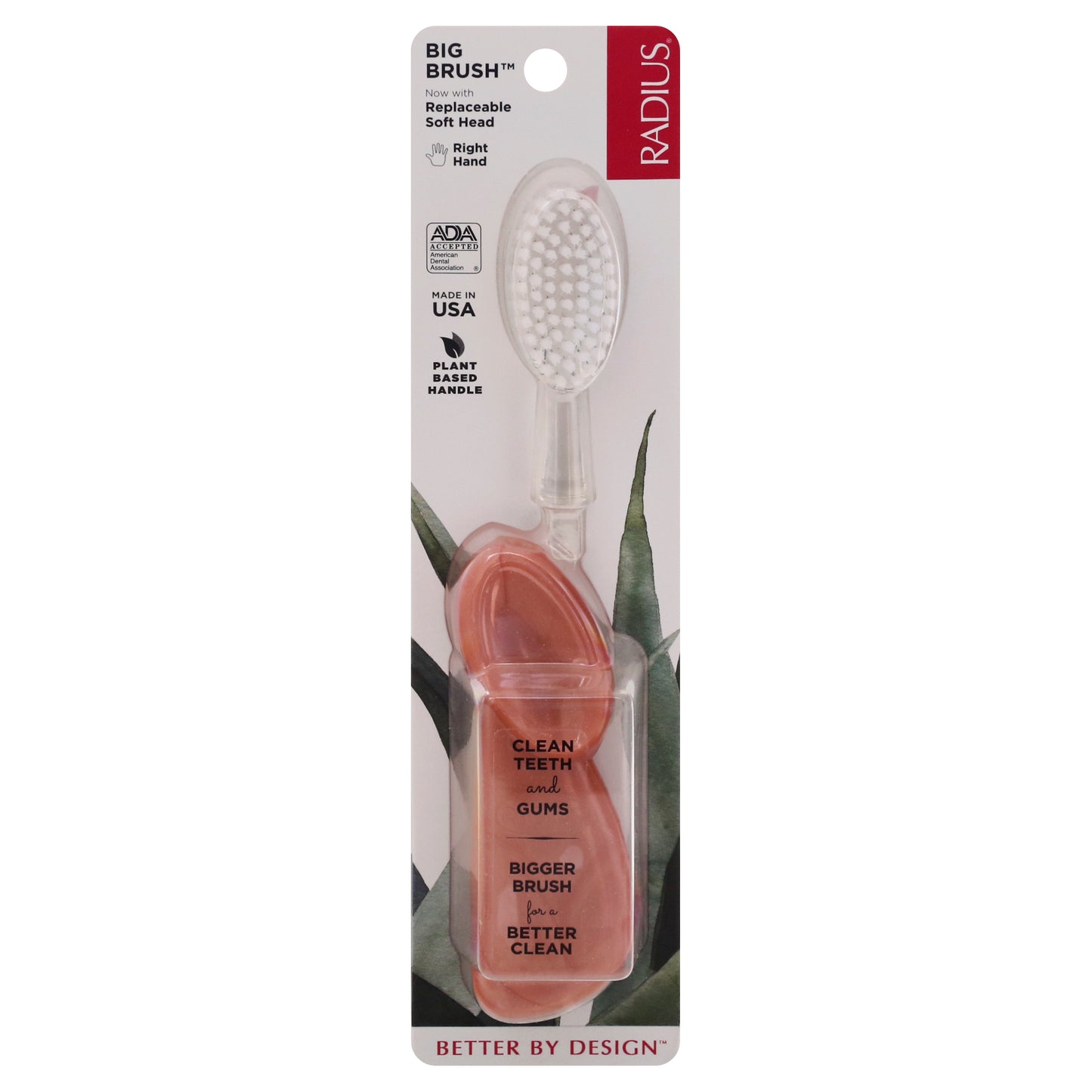Radius Big Brush Right Hand Toothbrush 1 ea