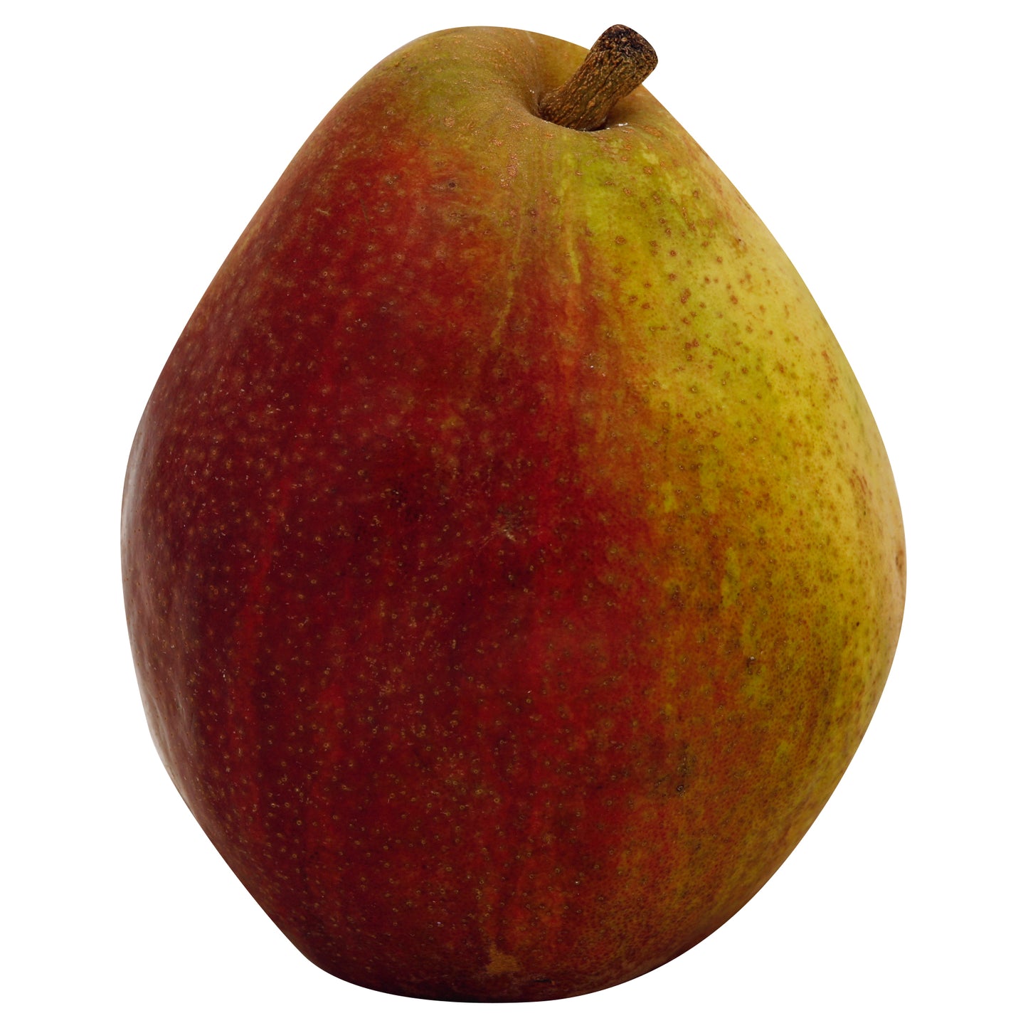 Red Anjou Pear