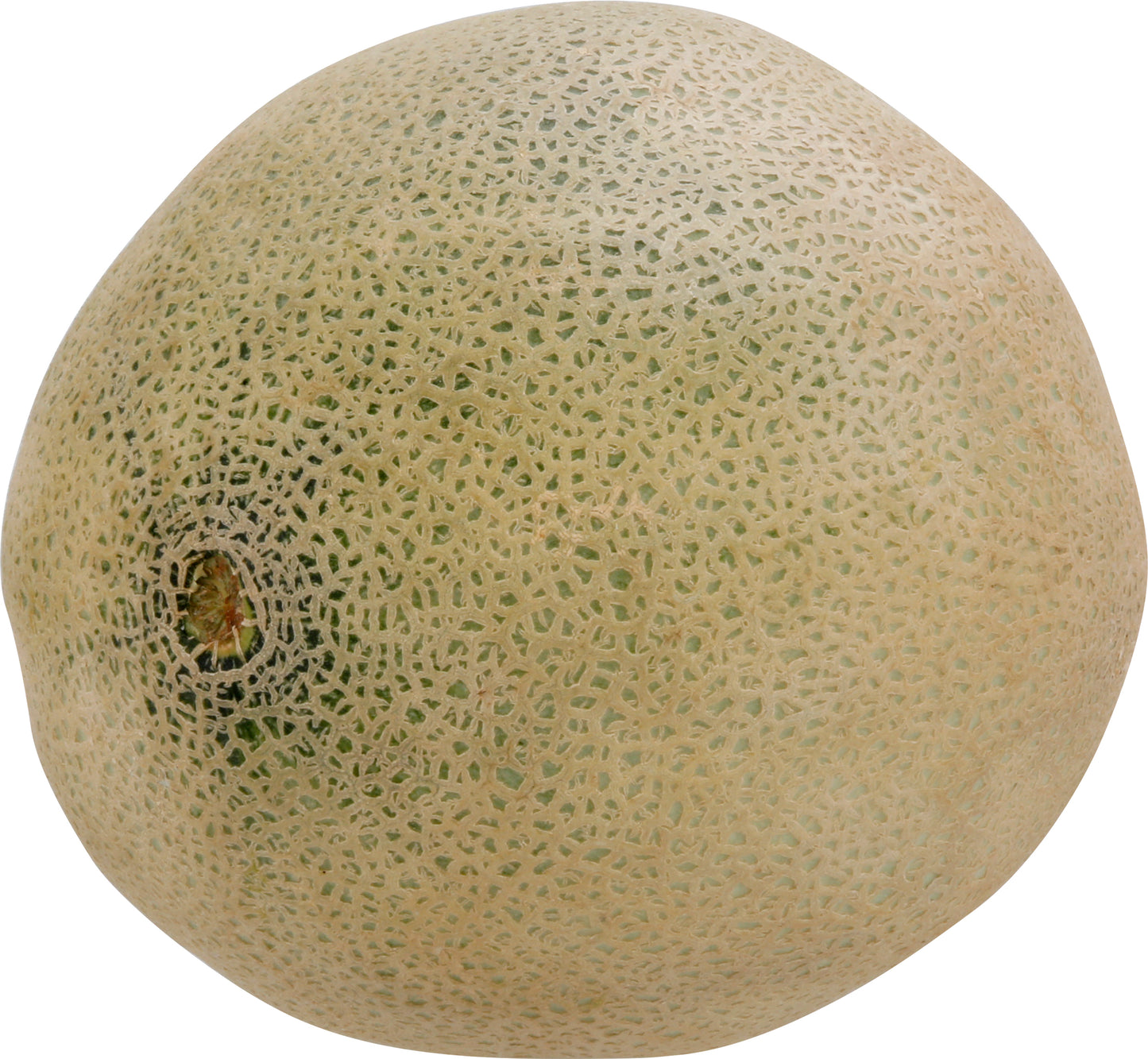 Organic Cantaloupe - Large