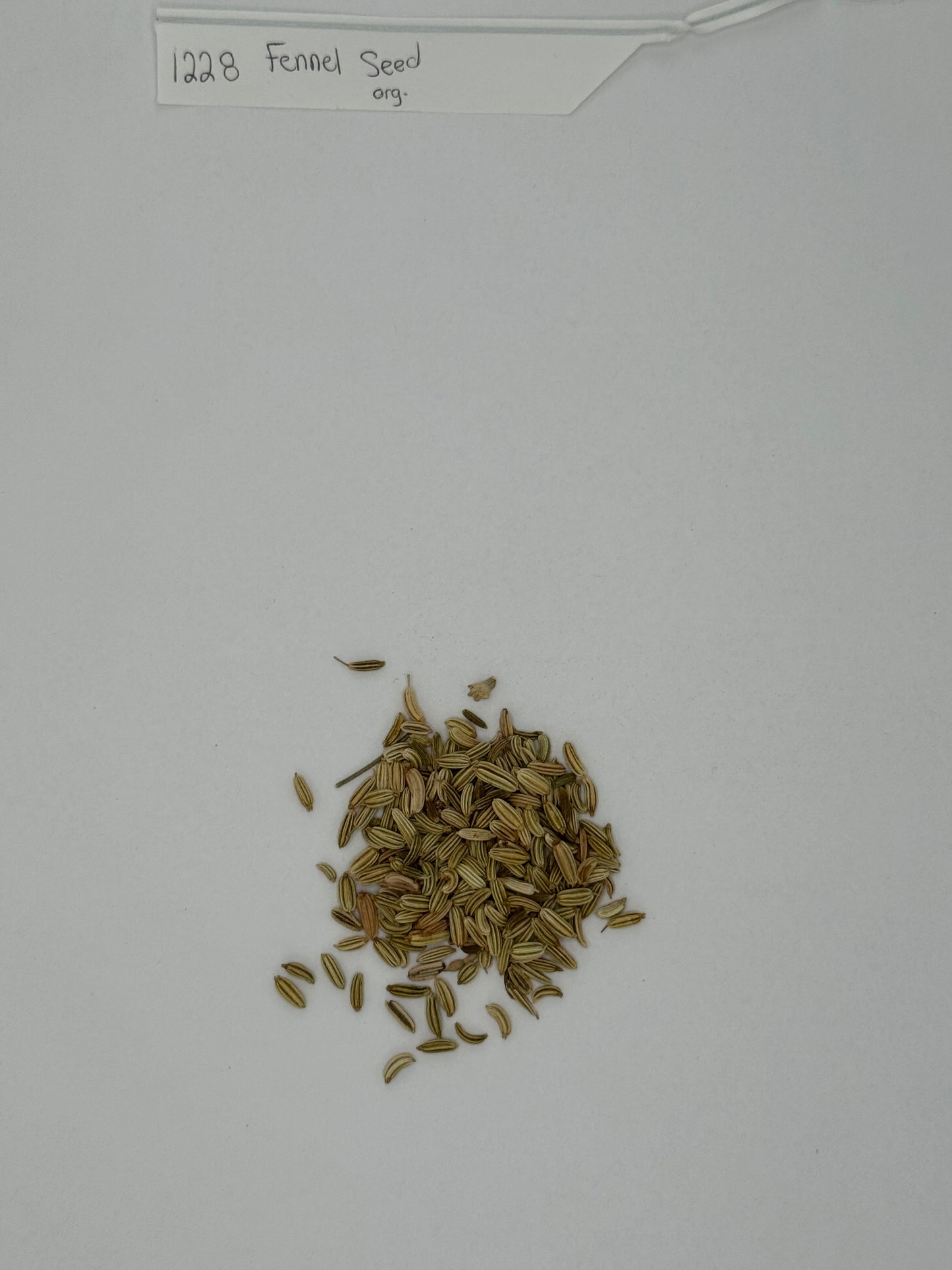Organic Whole Fennel Seed