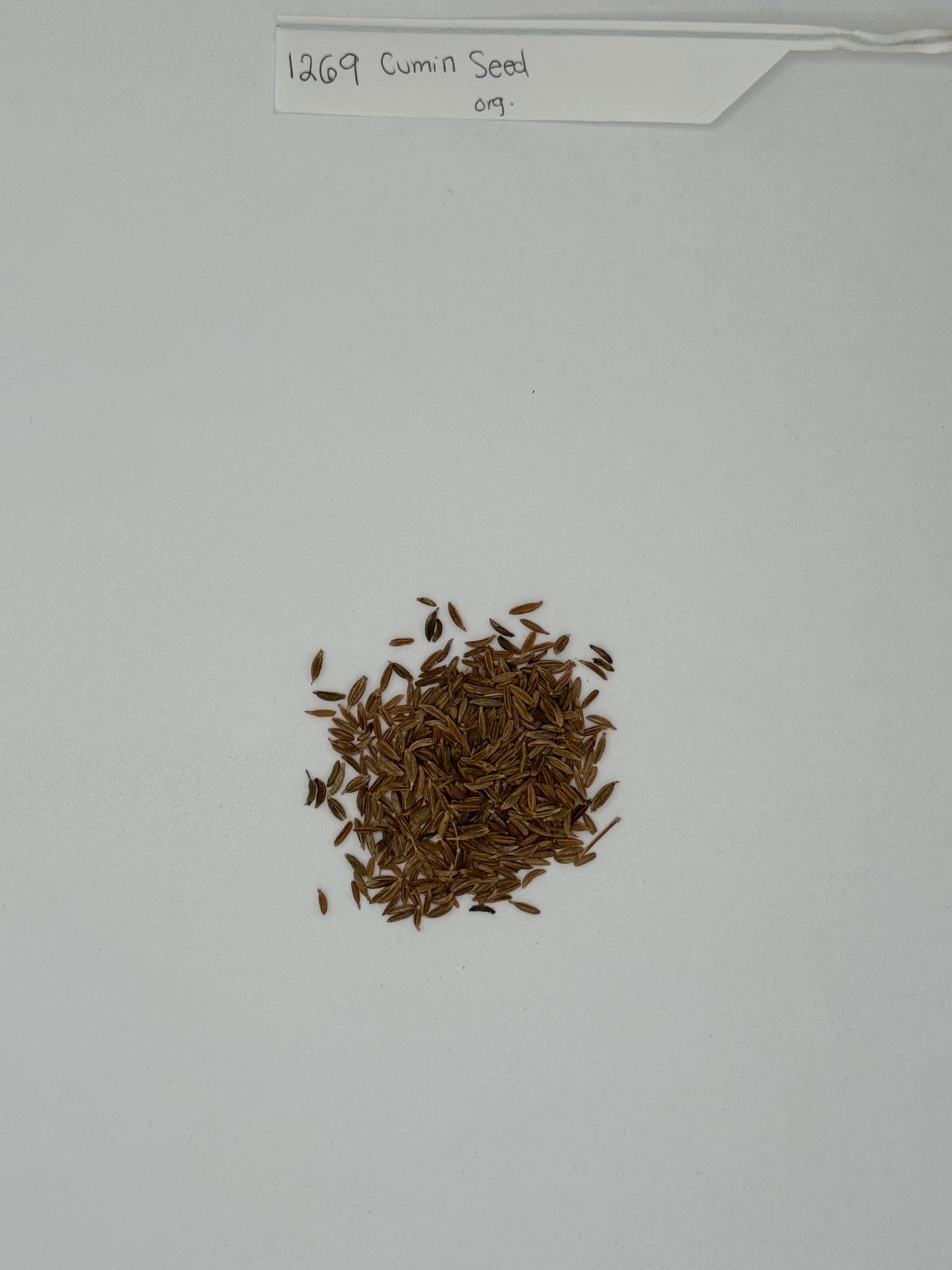 OG Whole Cumin Seed