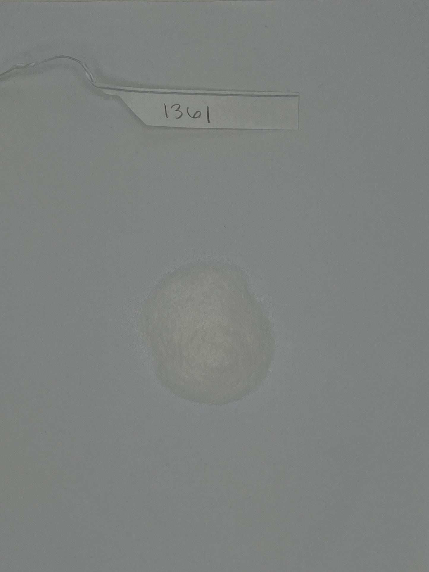 Organic Vitamin C Powder