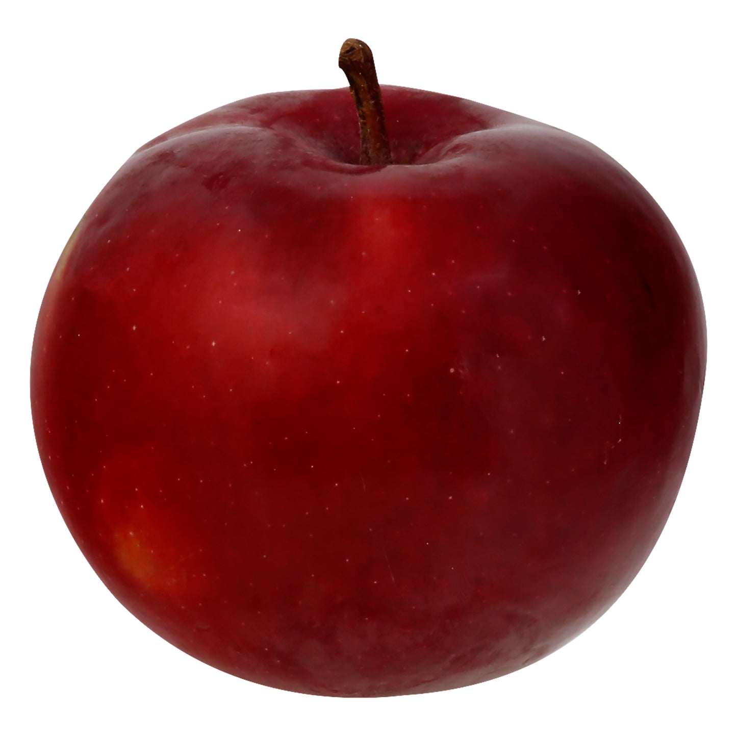 Organic McIntosh Apple