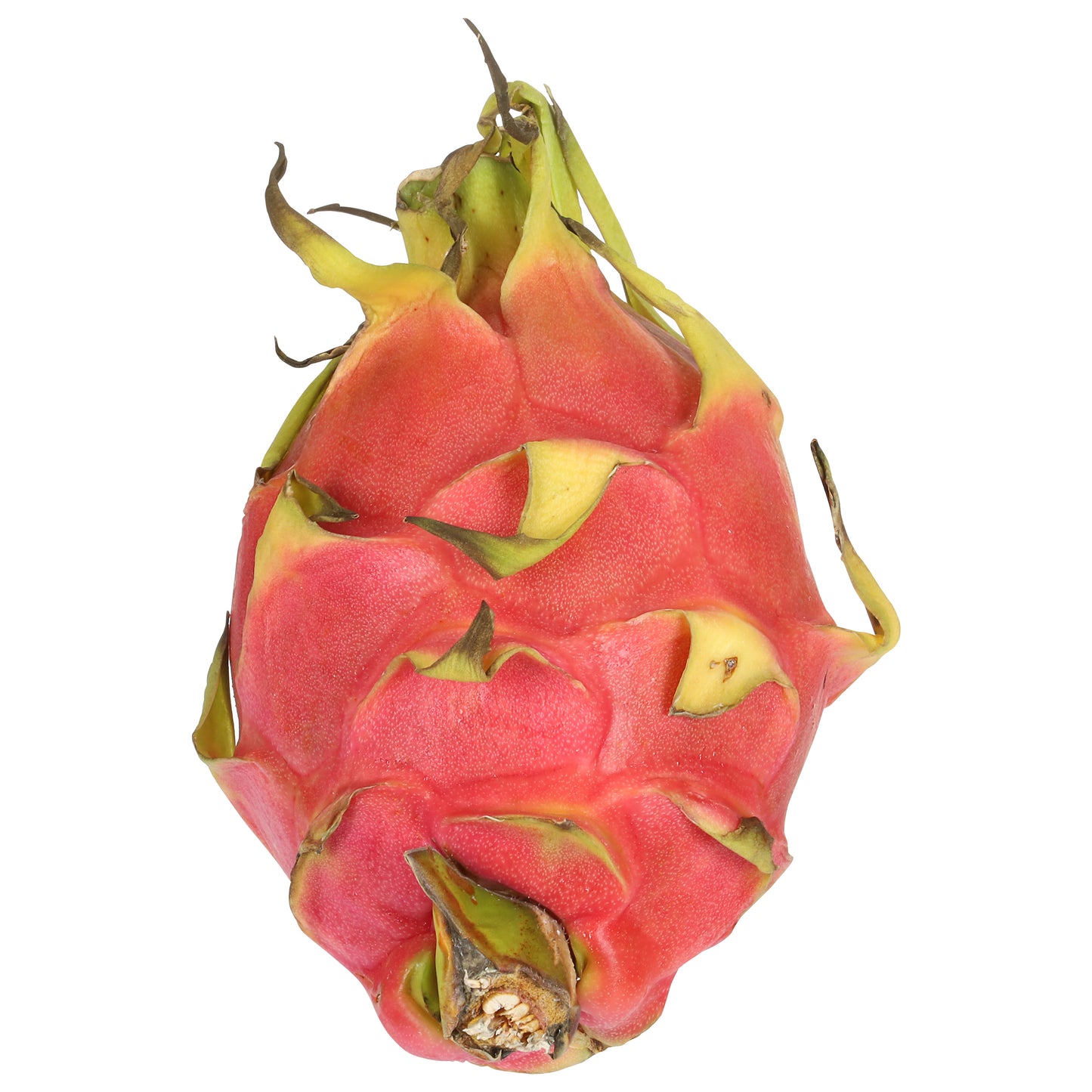 Organic Dragon Fruit