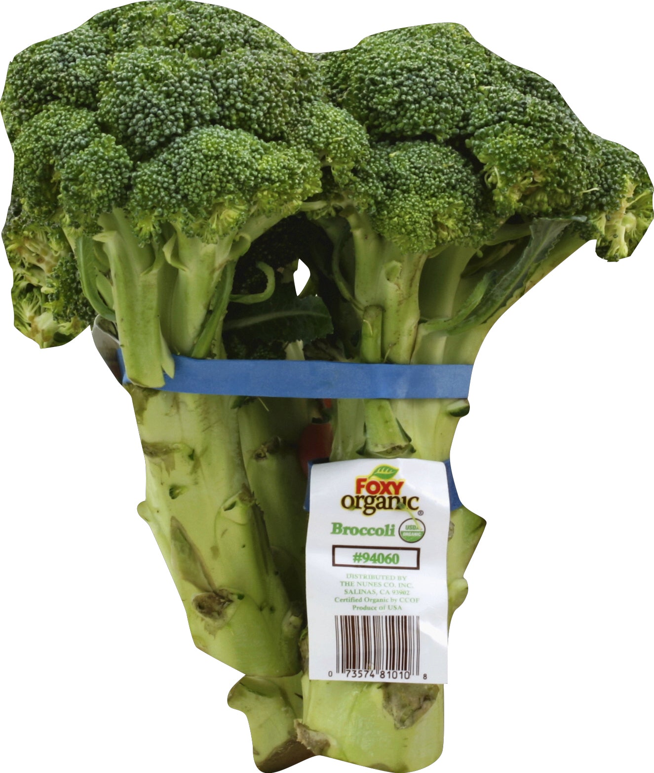 Broccoli