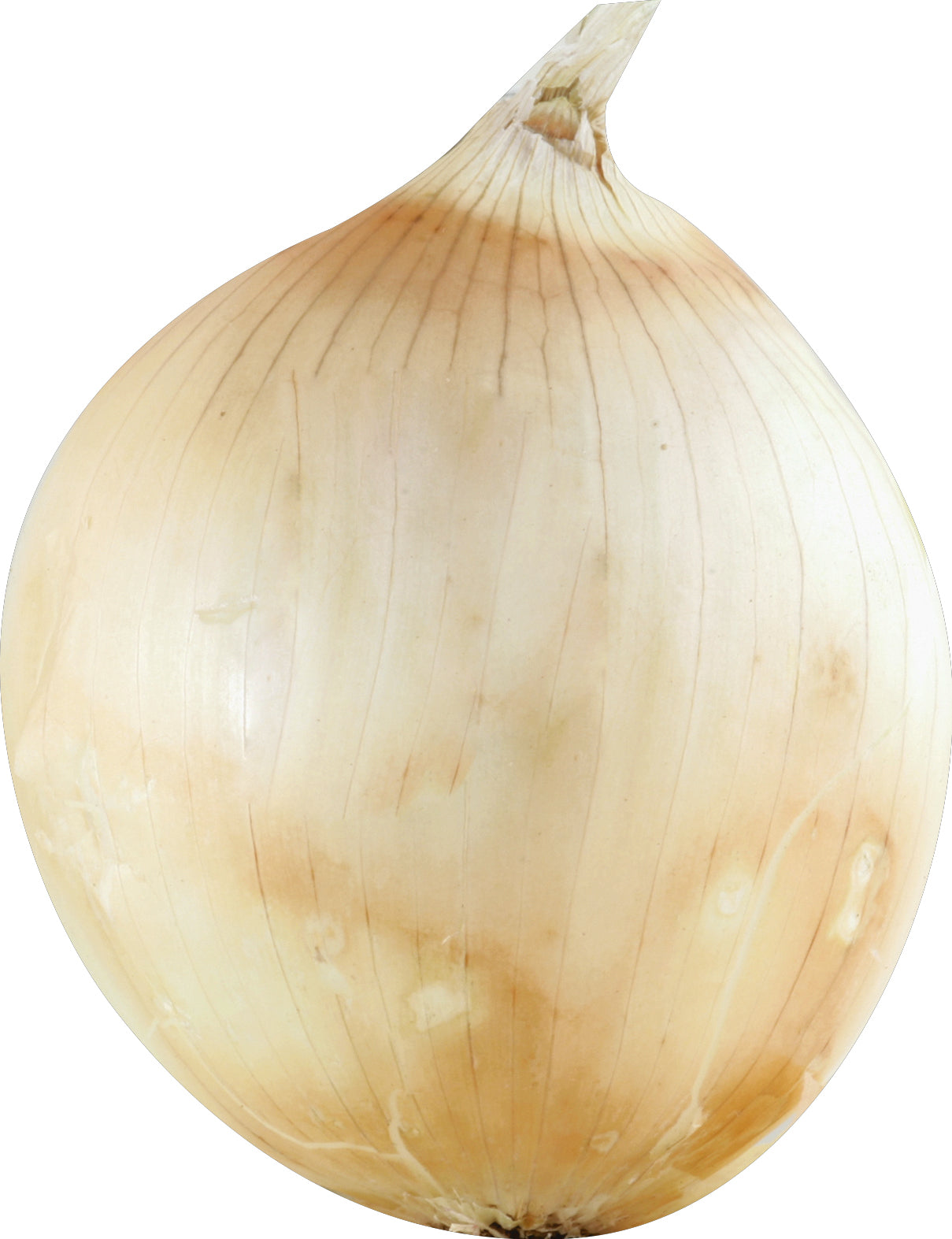 Sweet Onion