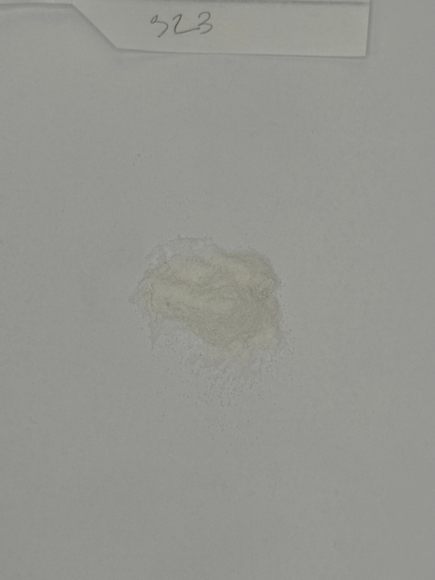 Organic White Rice Flour