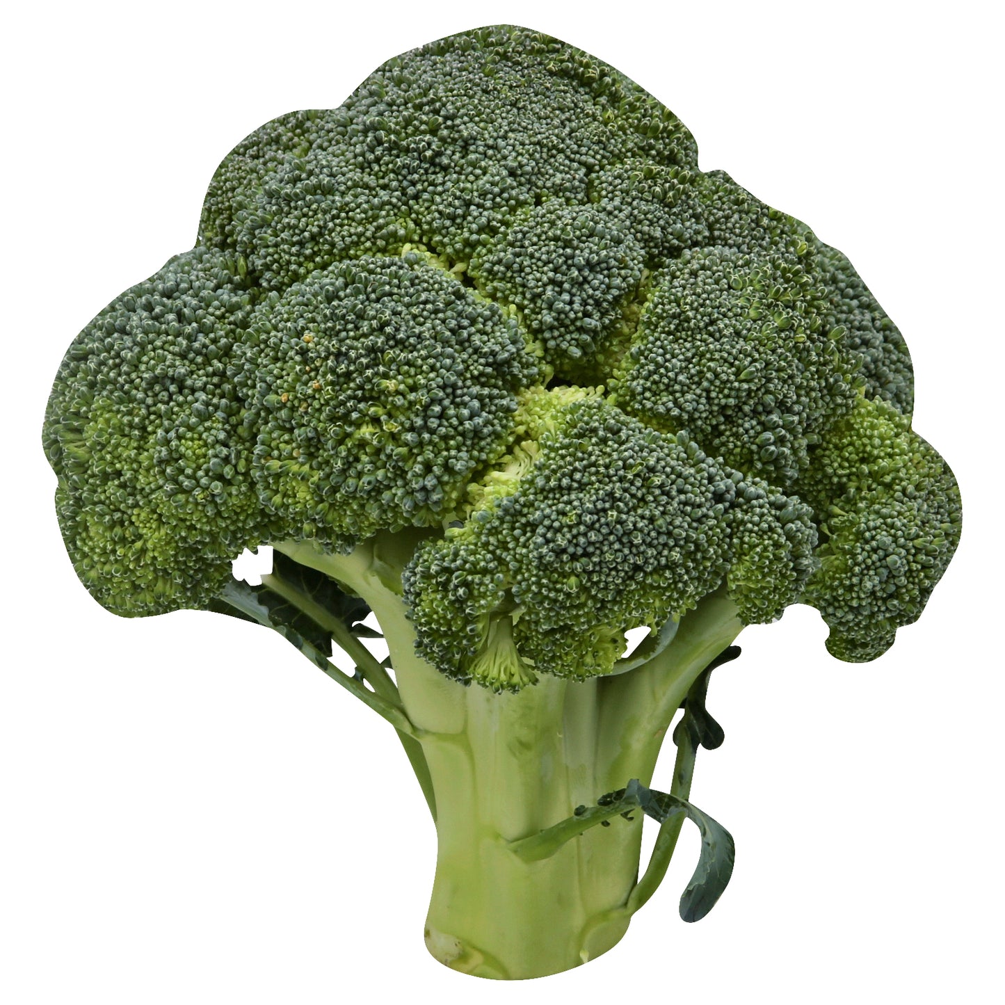 Organic Broccolini