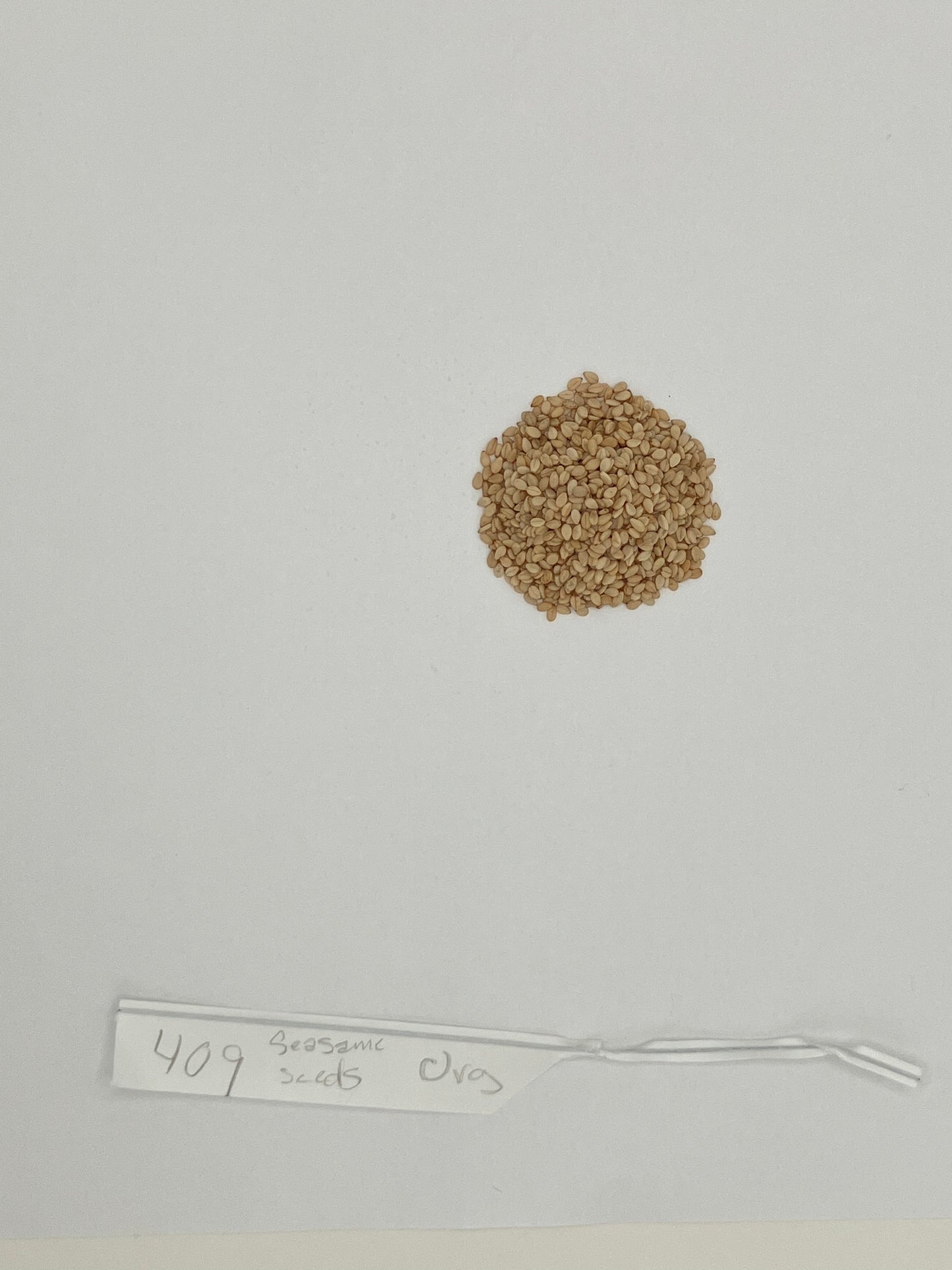 Organic Sesame Seeds