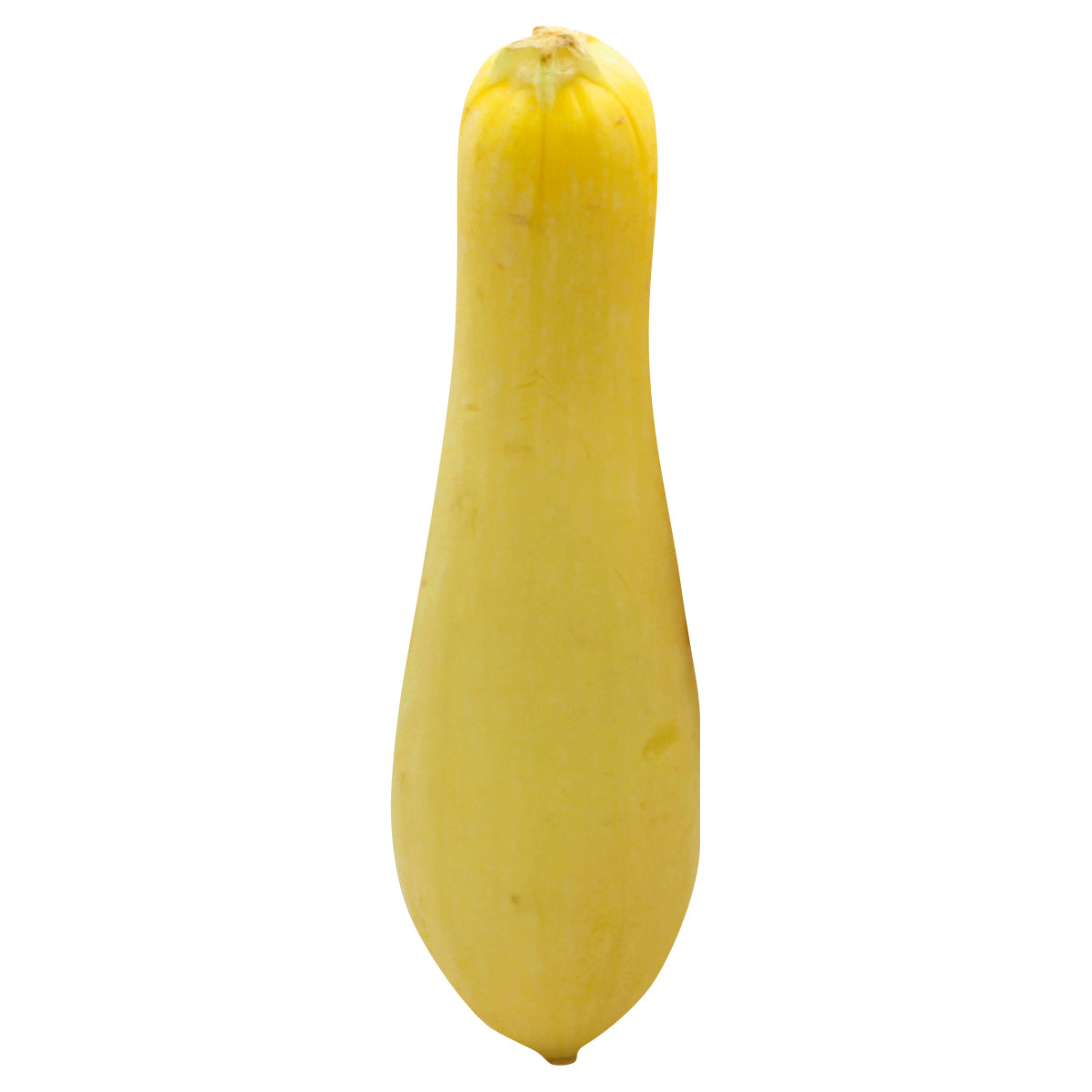 Variety Squash
