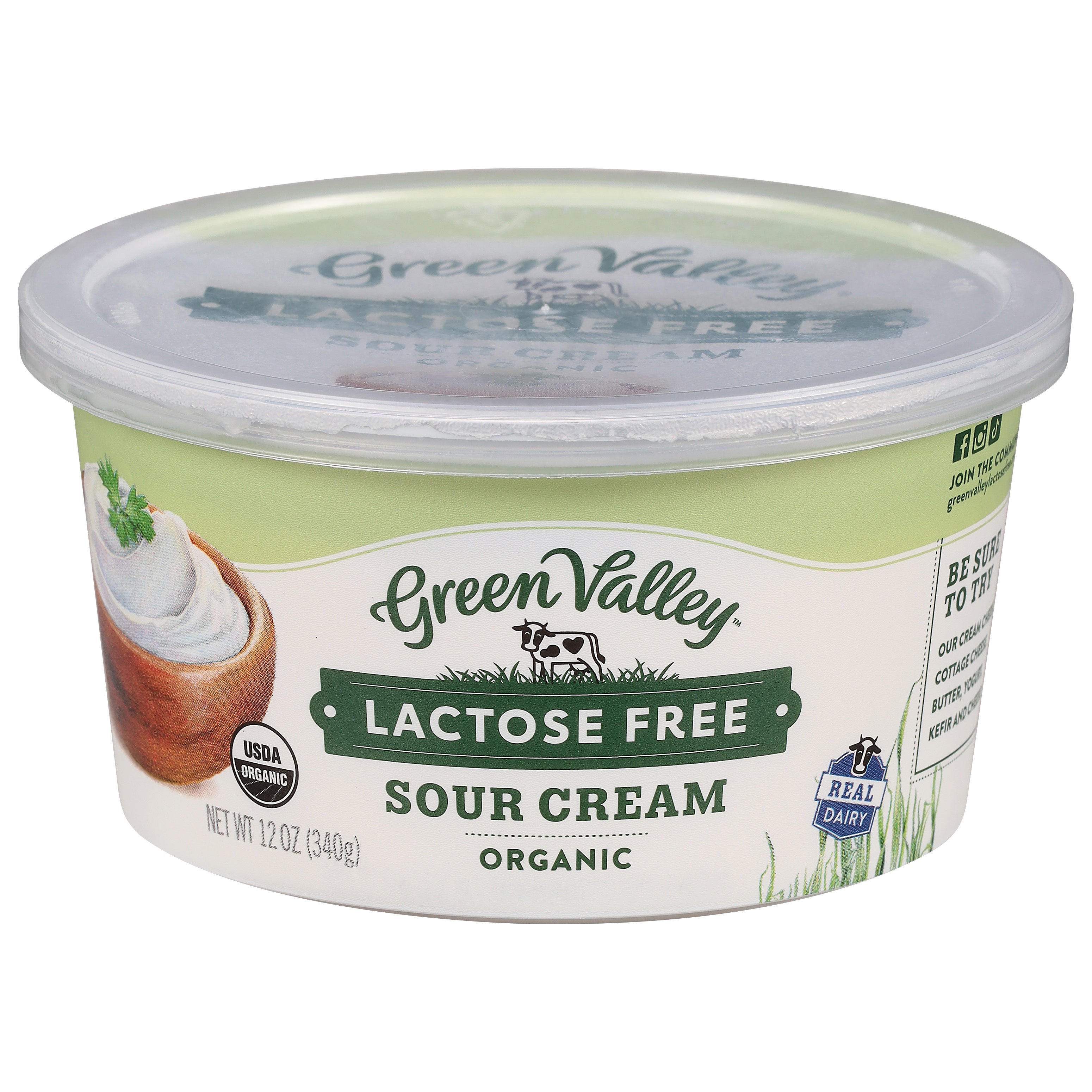 サリー Green Valley Lactose Free Organic Sour Cream 12 oz – Hudson