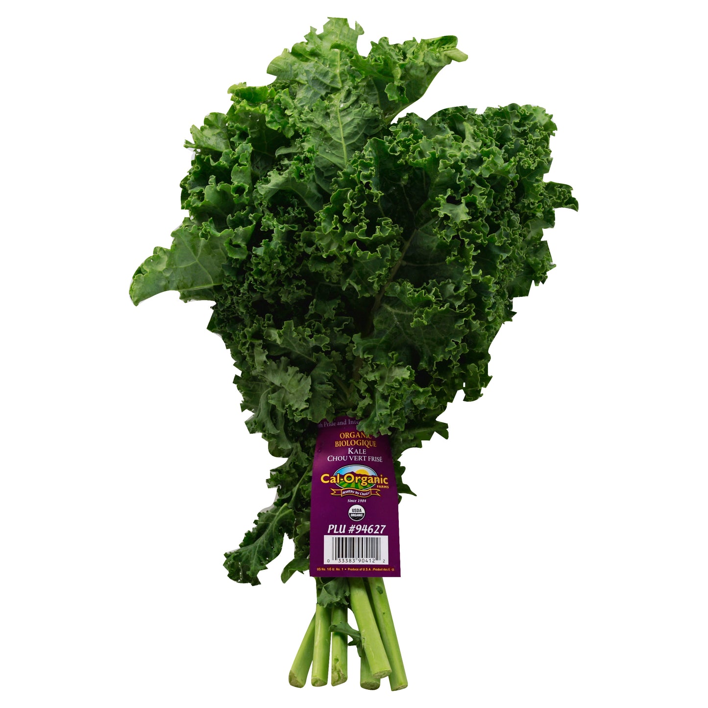 Green Kale - Bunch