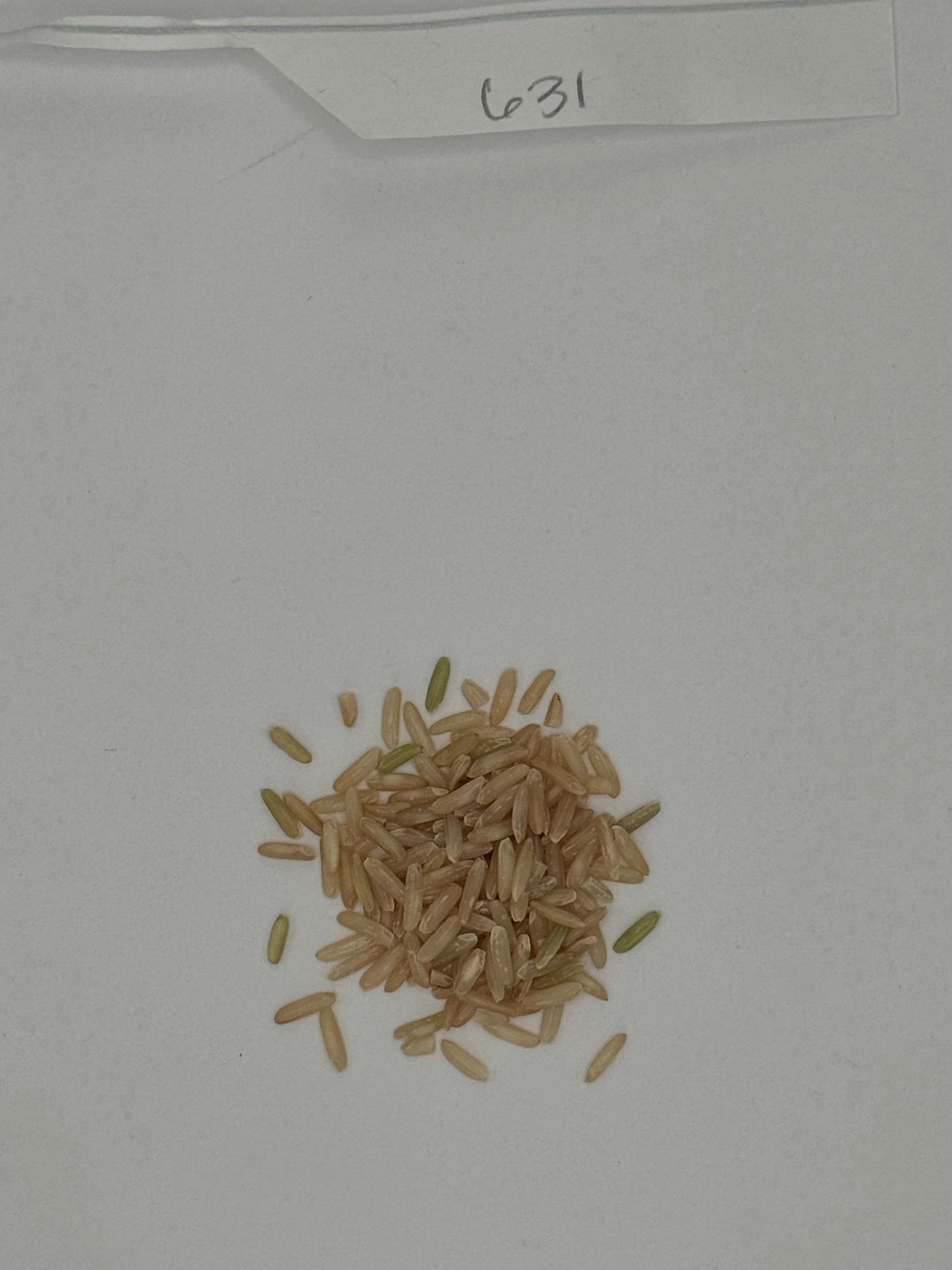 Organic Long Brown Rice