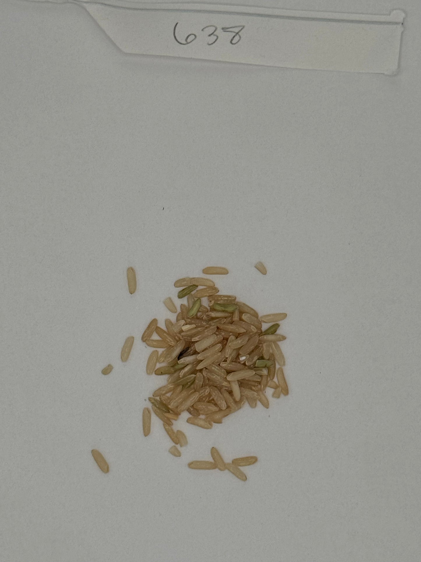 Organic Brown Basmati Rice