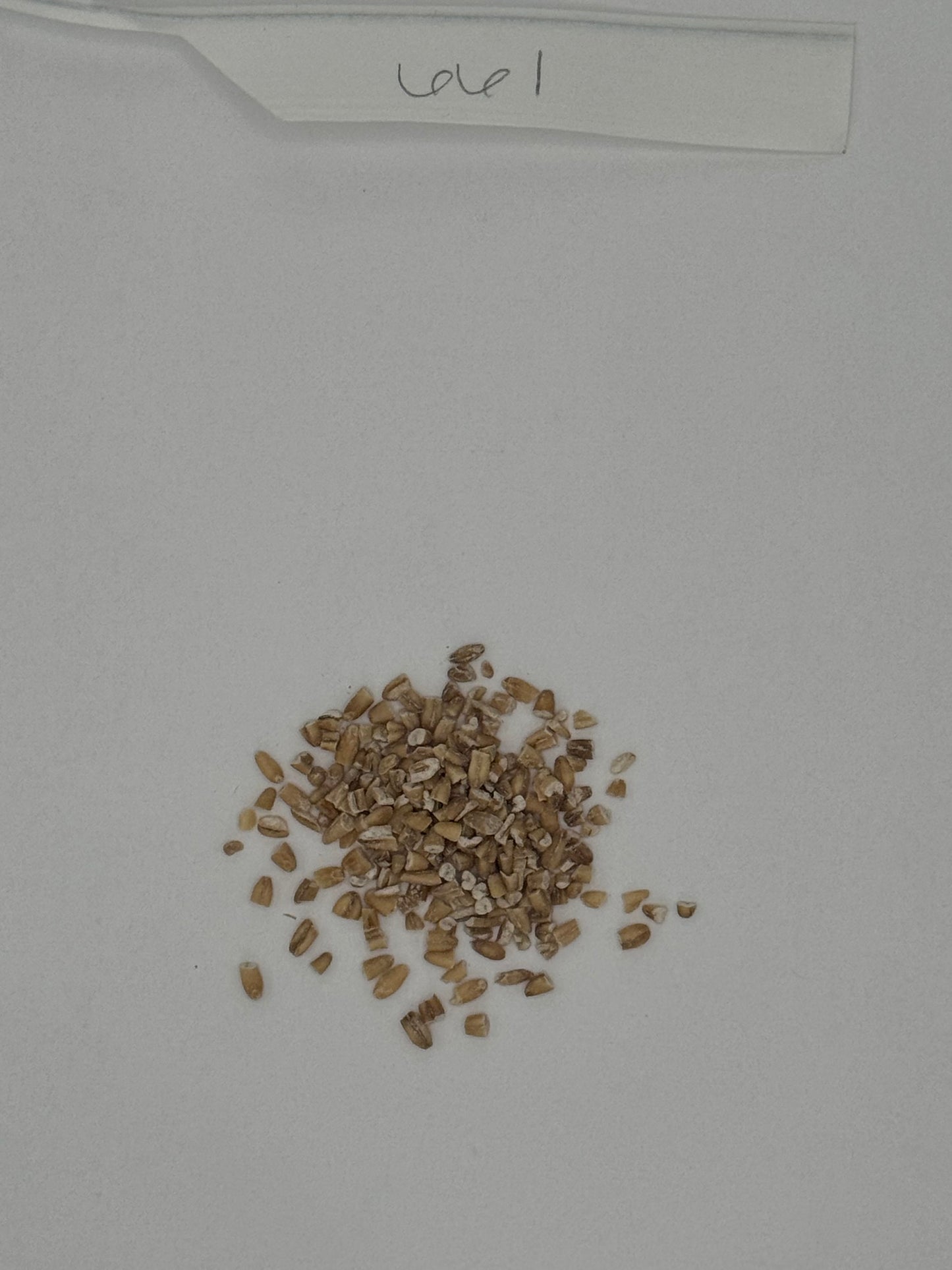 Organic Steel Cut Oats