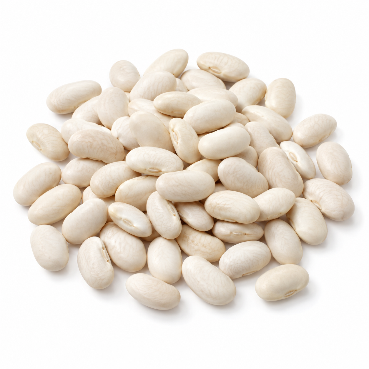 Organic Great Northern Beans