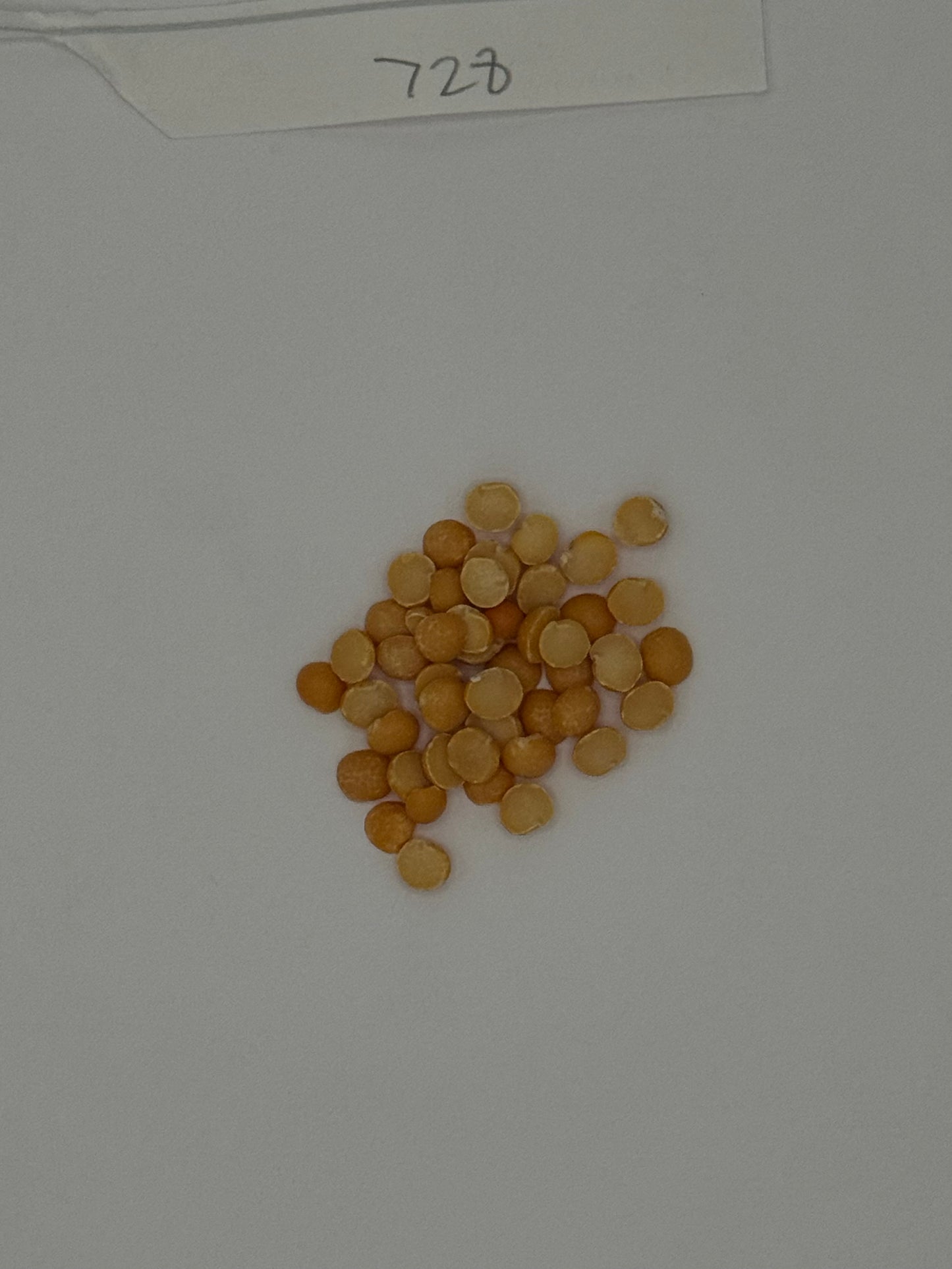 Organic Yellow Split Peas
