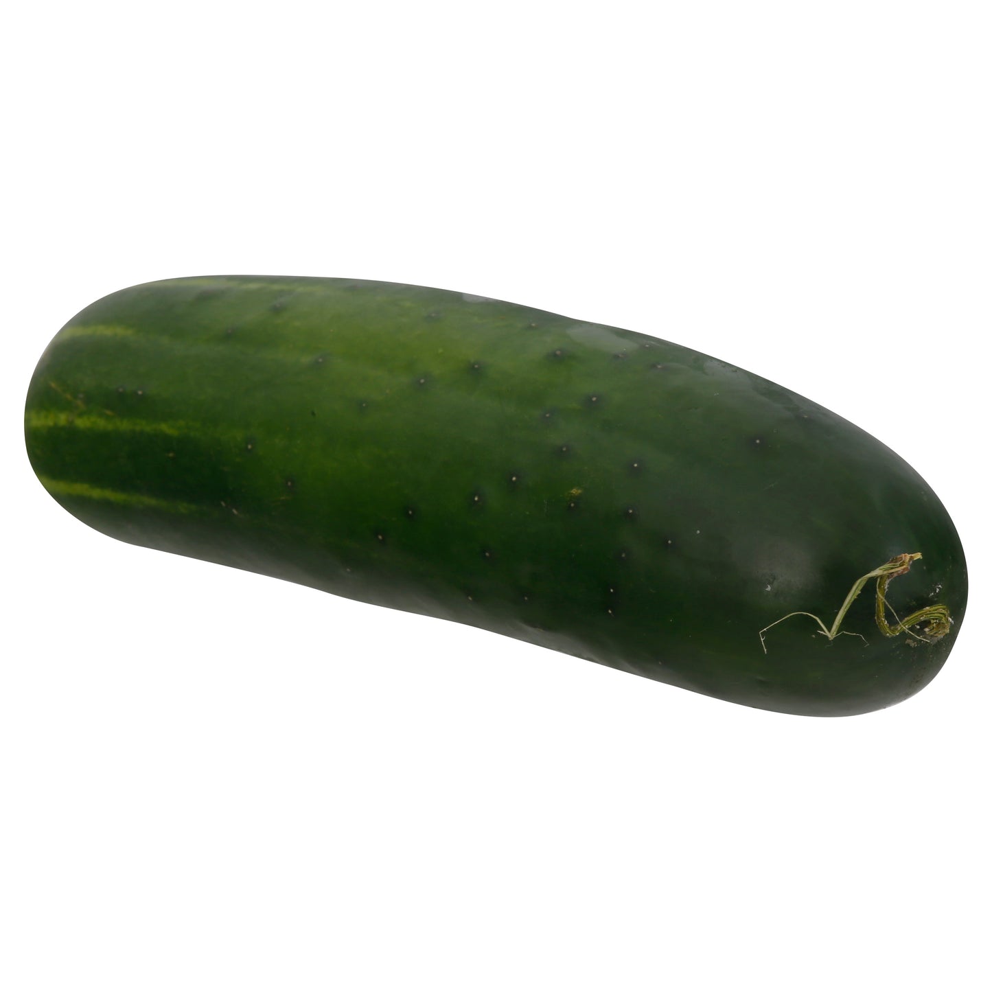 English Cucumber