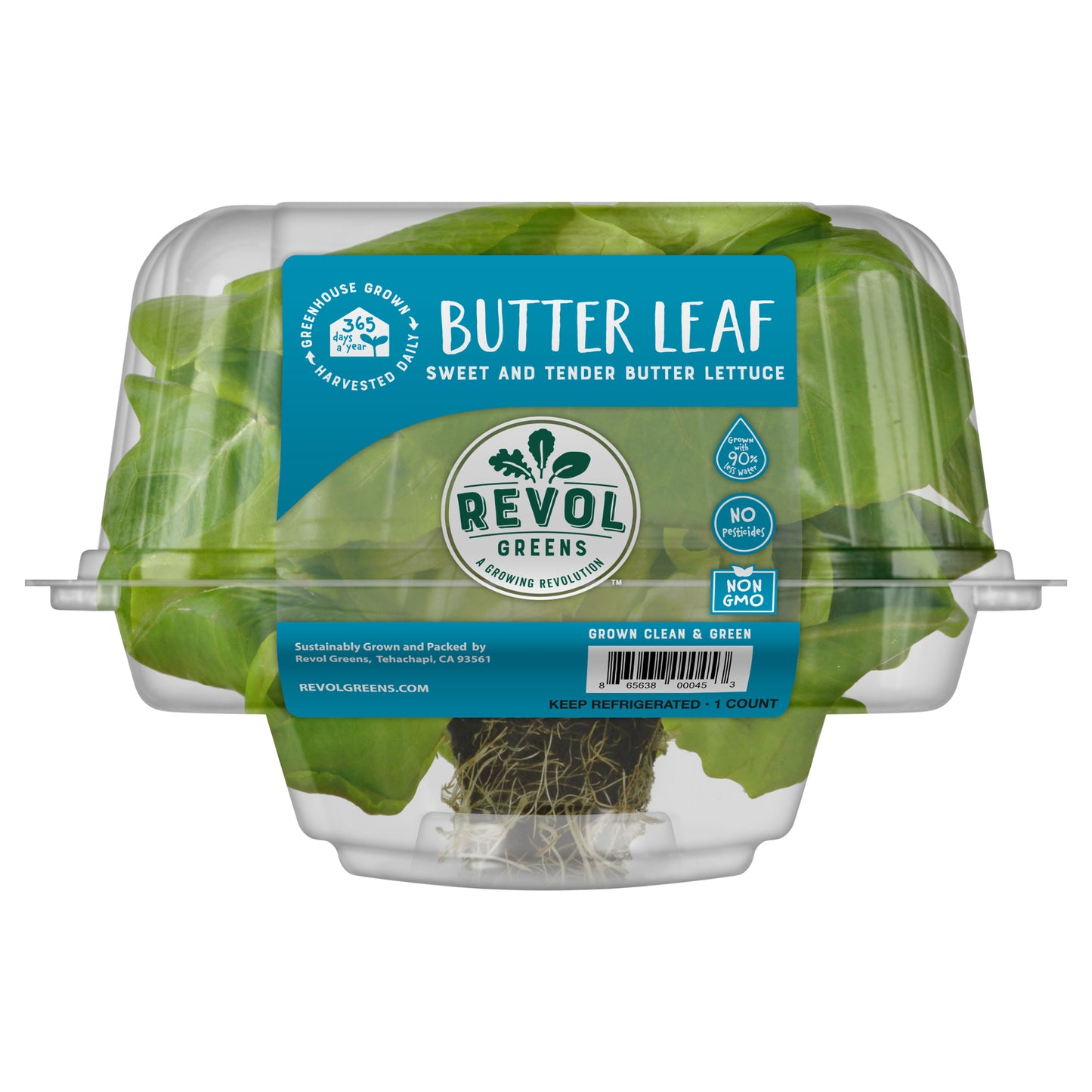 Revol Greens Living Butter Lettuce, 1ct