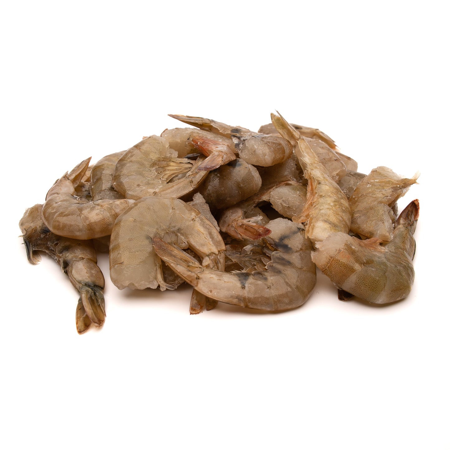 EZ Peel Shrimp 26-30