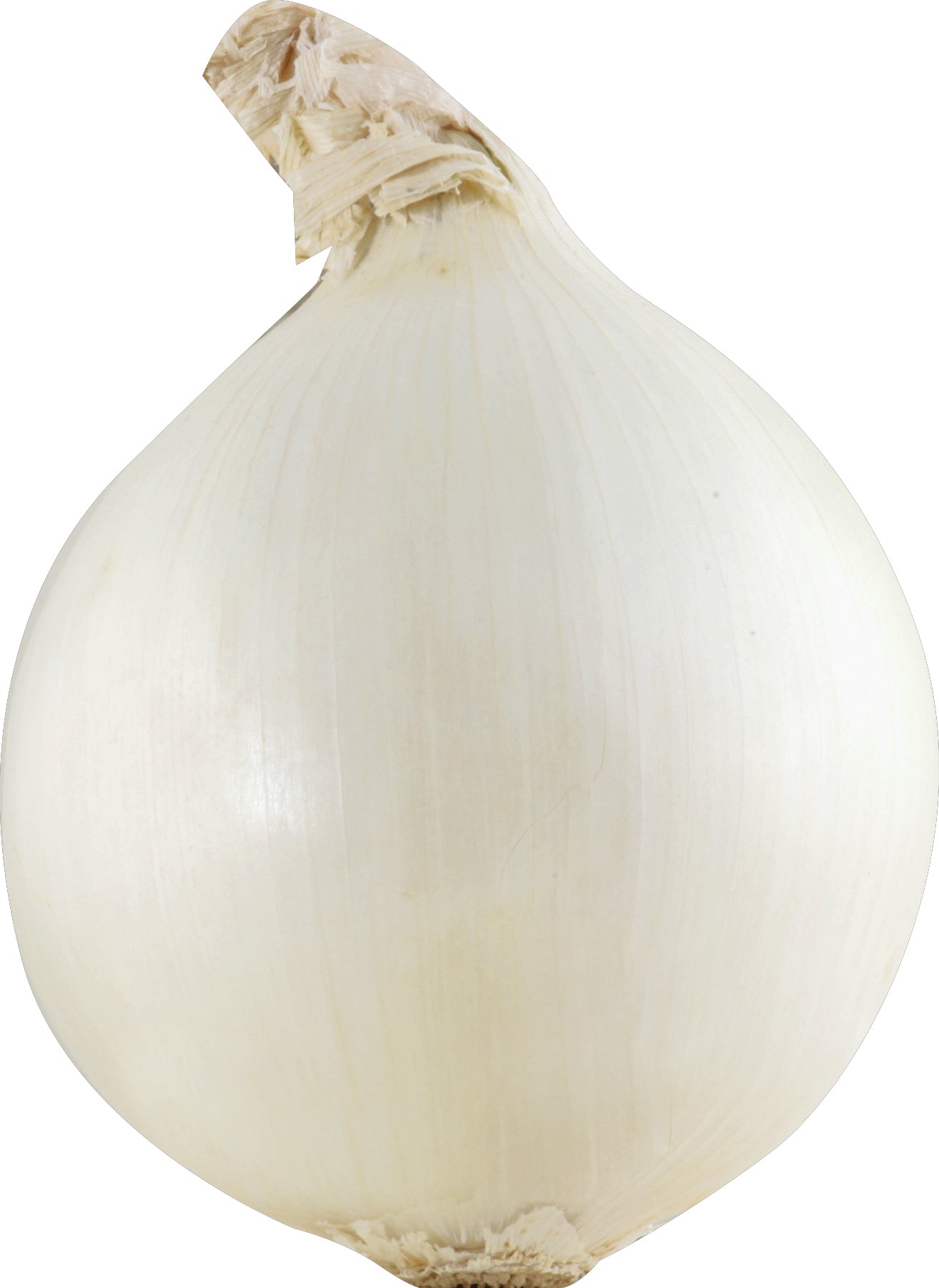 White Onion