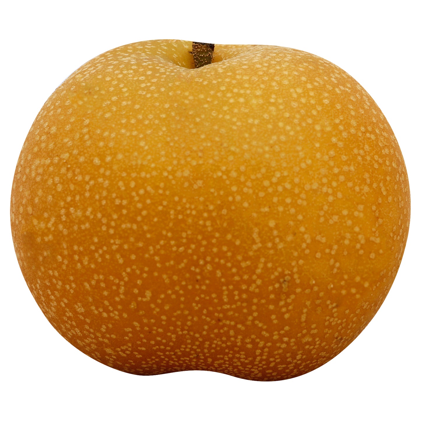 Organic Nashi Brown Pear