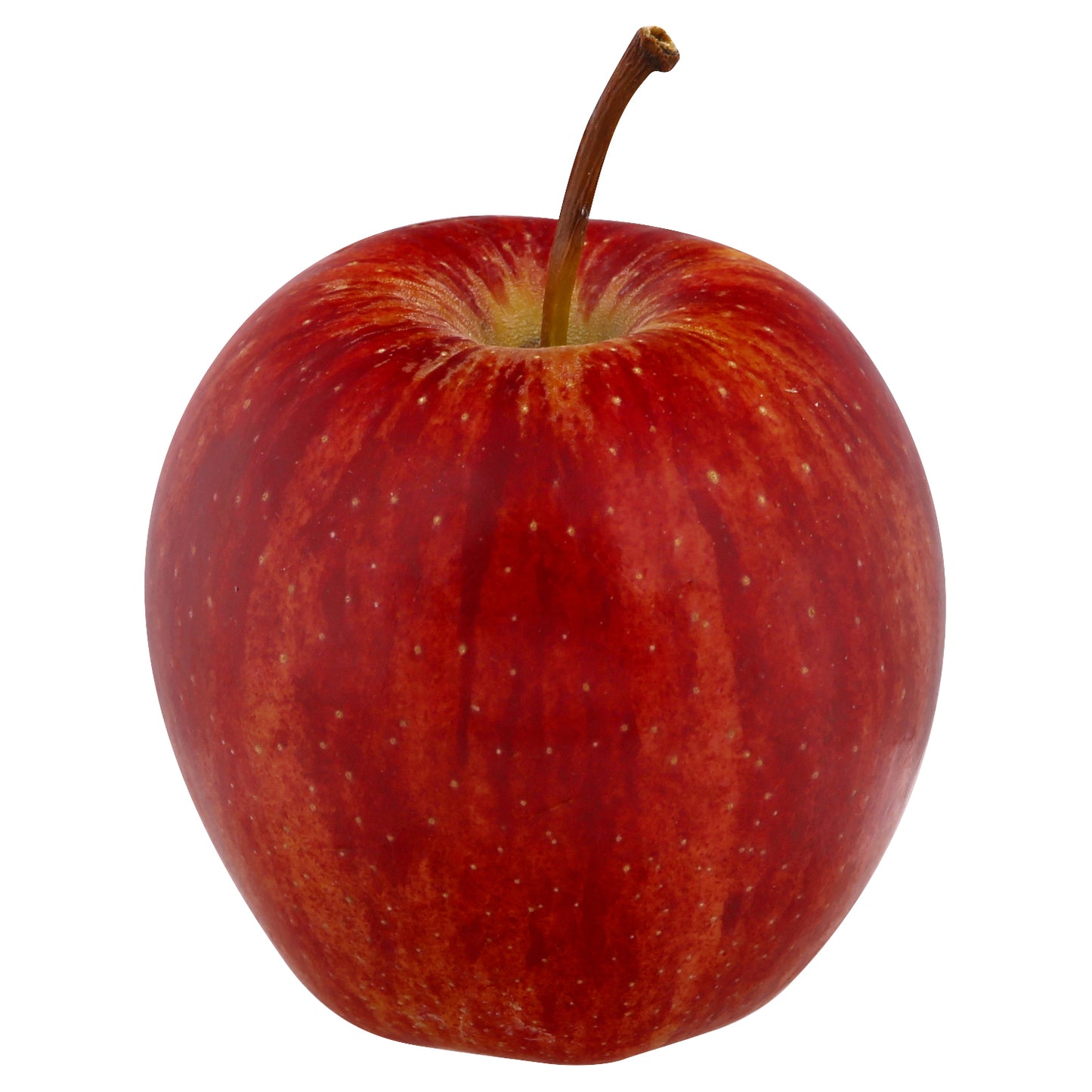 Organic Gala Apple
