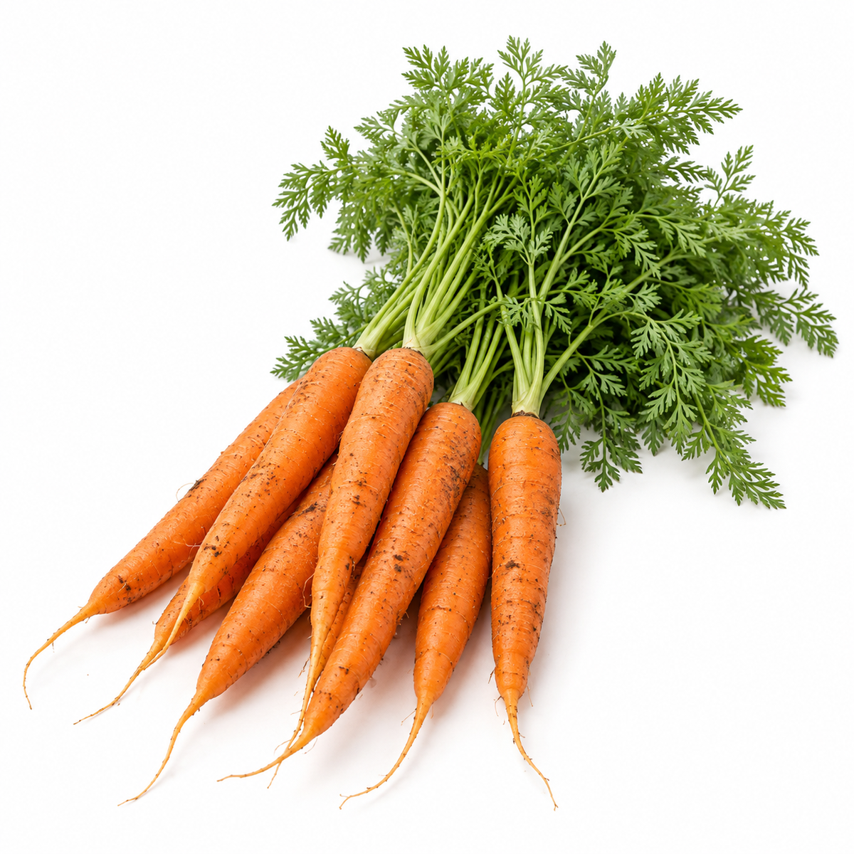 Organic Green-Top Carrots