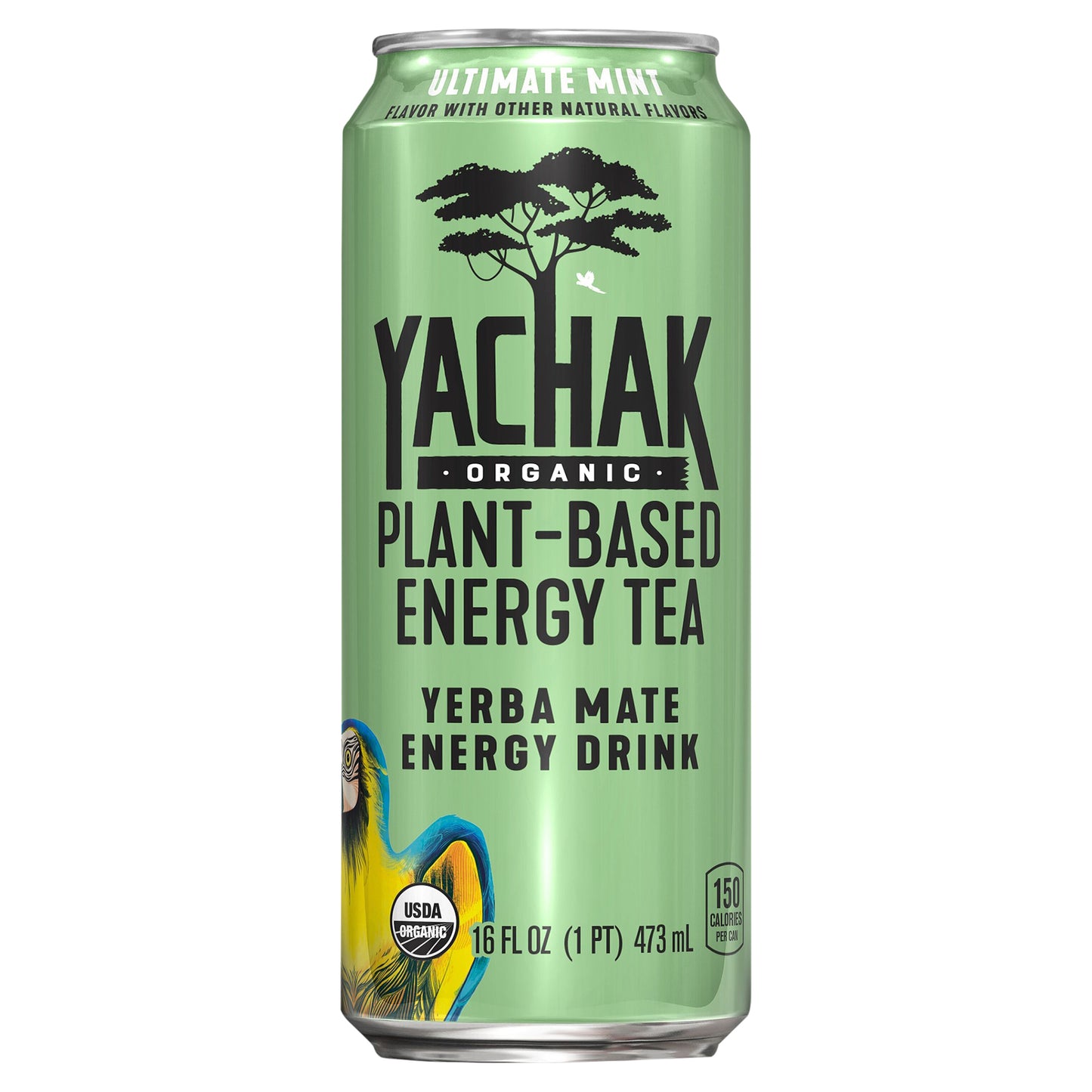 Yachak Organic Plant Based Energy Tea Yerba Mate Energy Drink Ultimate Mint 16 Fl Oz Can