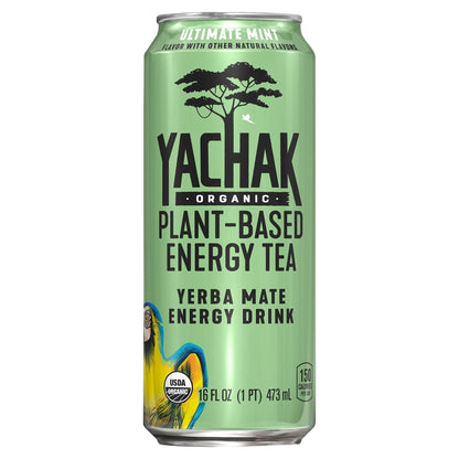 Yachak Organic Plant Based Energy Tea Yerba Mate Energy Drink Ultimate Mint 16 Fl Oz Can