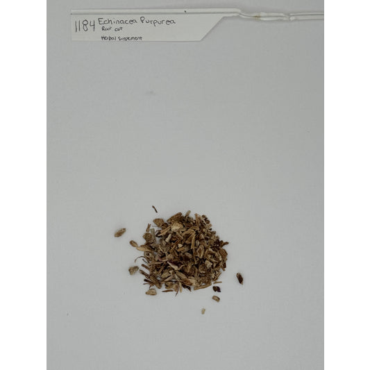 Organic Echiancea Root
