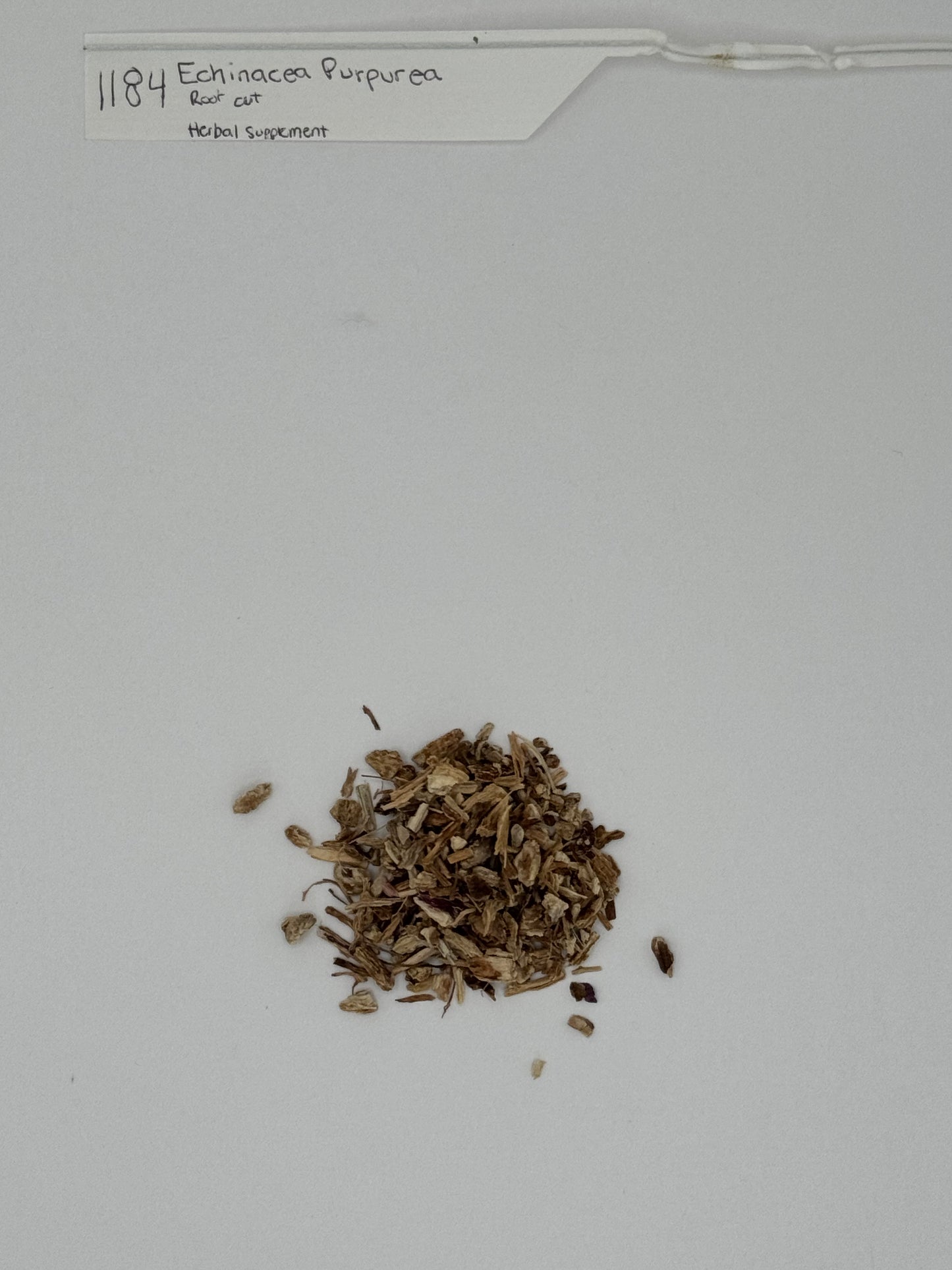 Organic Echiancea Root