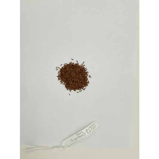 Whole Caraway Seed