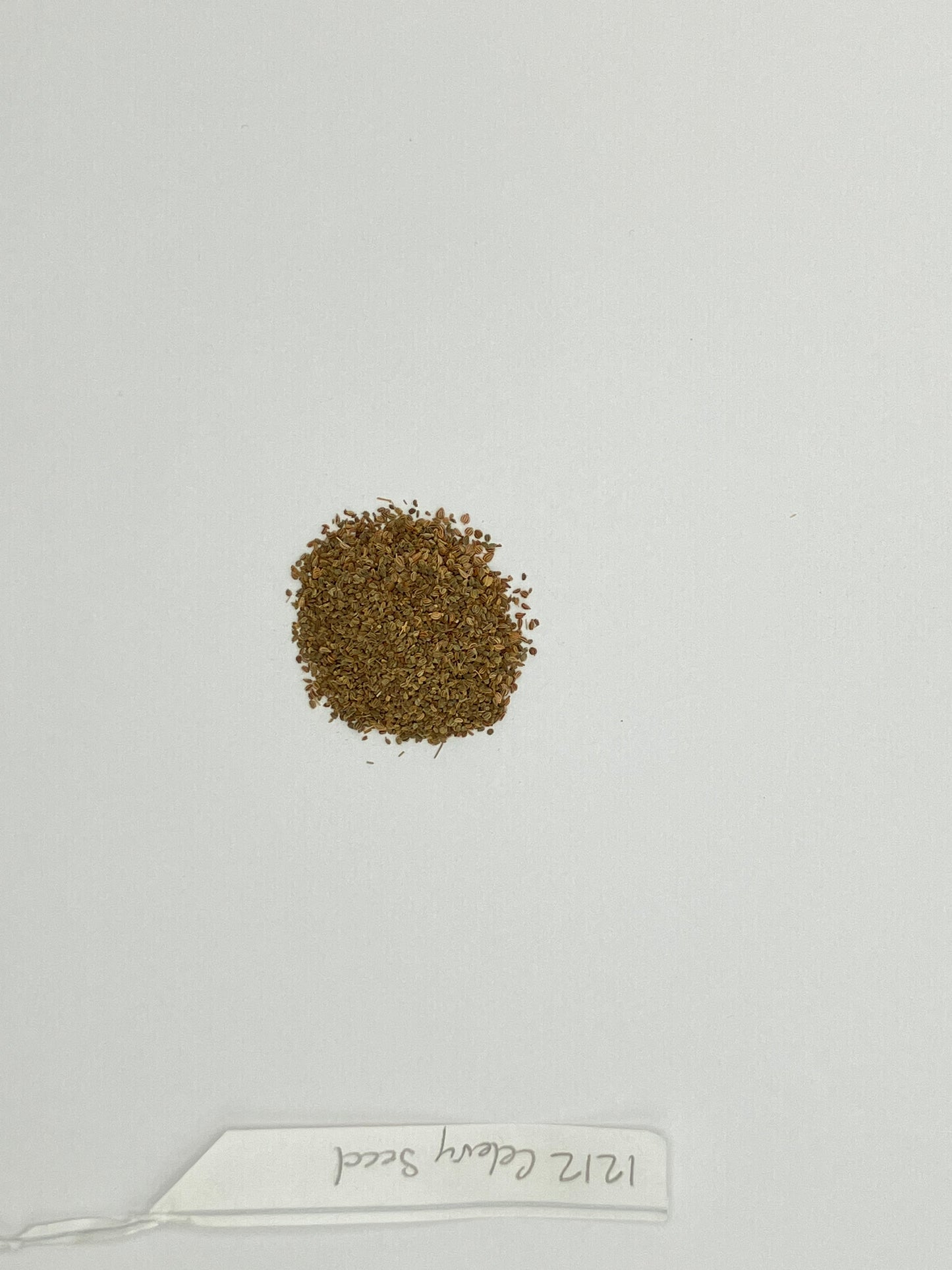 Celery Seed