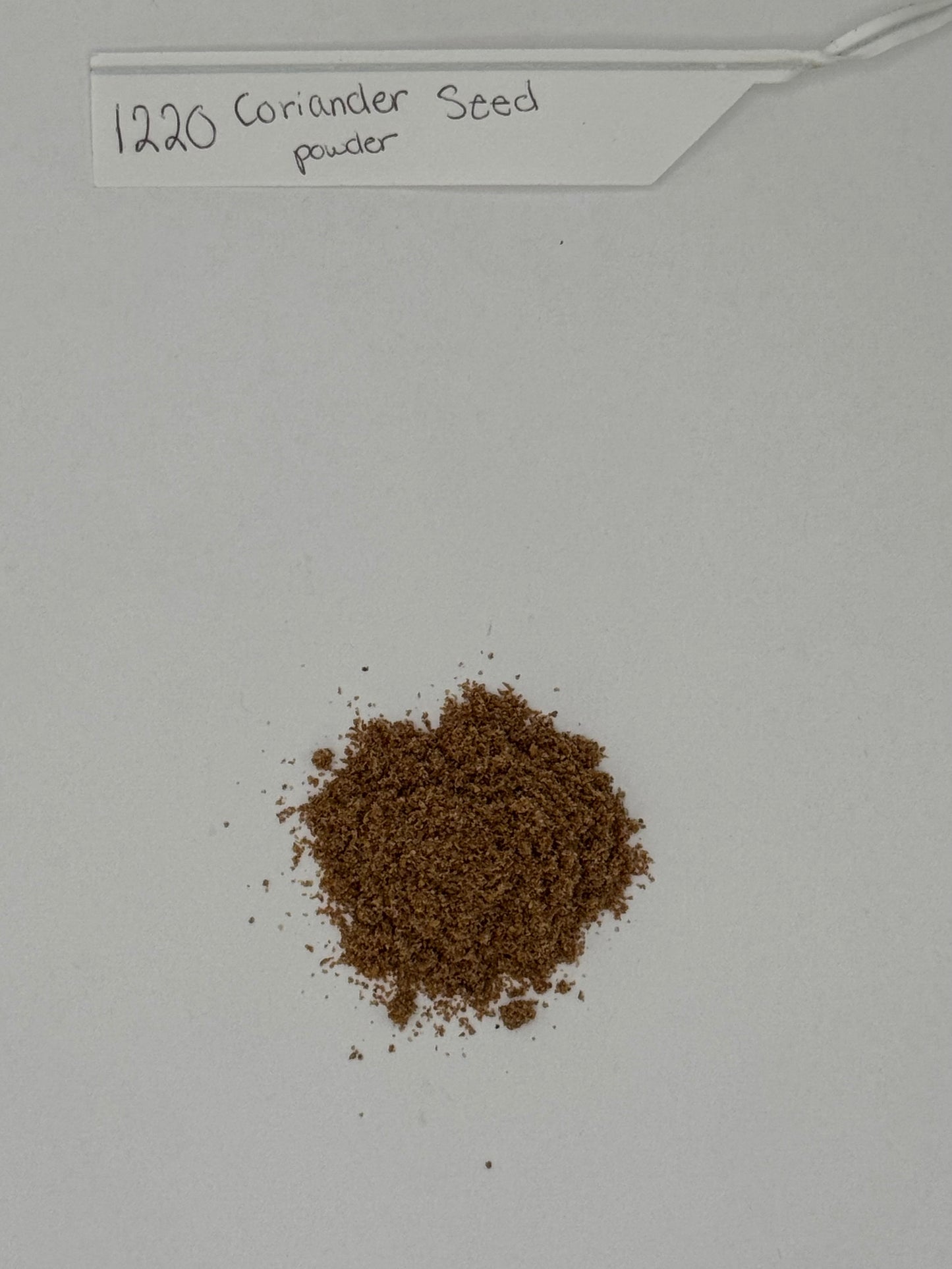 OG Ground Corriander