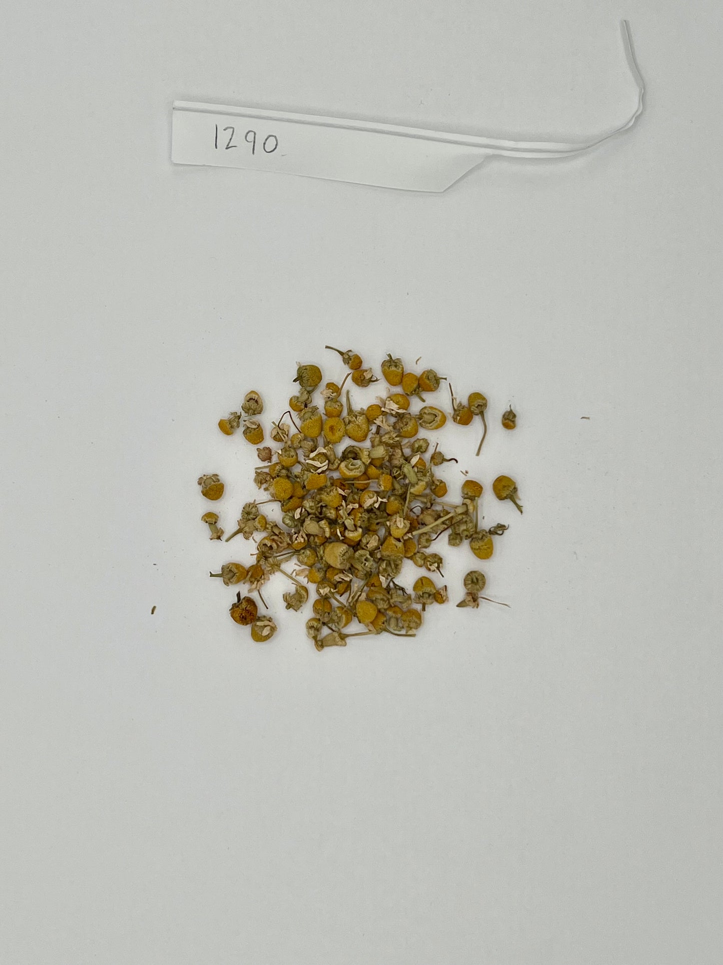 OG Chamomile