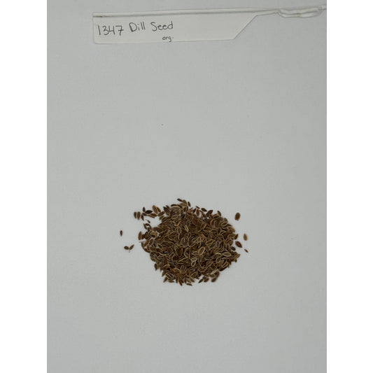 Organic Dill Seed