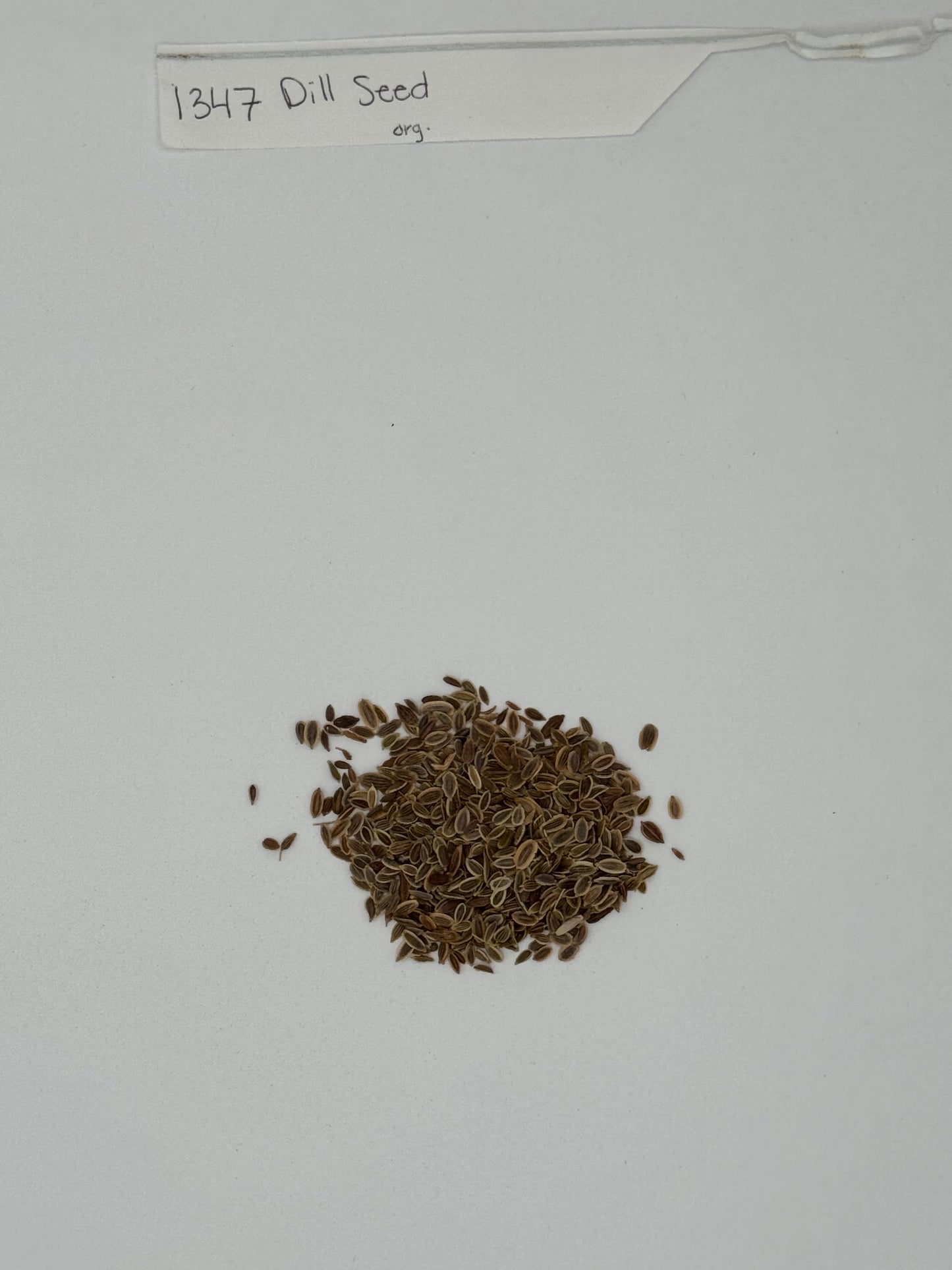 Organic Dill Seed