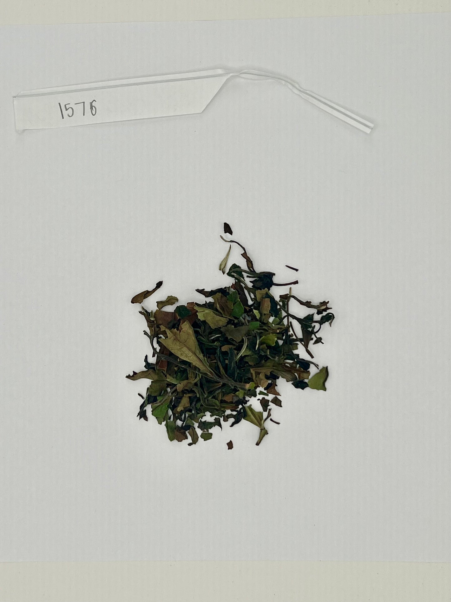 Organic White Monkey Tea