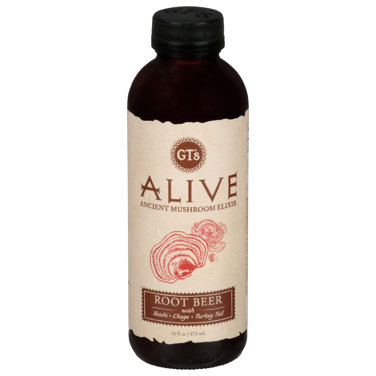 GT's Alive Root Beer Ancient Mushroom Elixir 16 fl oz