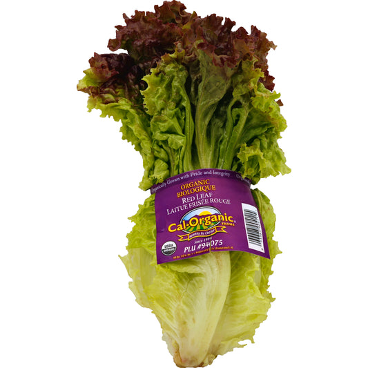 Green Lettuce