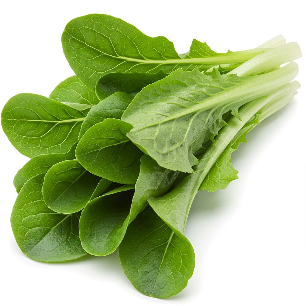 Organic Frisée Lettuce