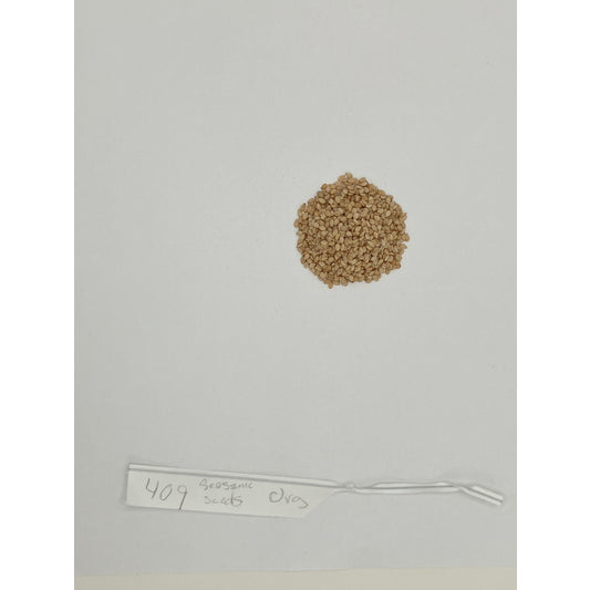 Organic Sesame Seeds