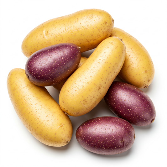 Organic Rainbow Fingerling Potatoes