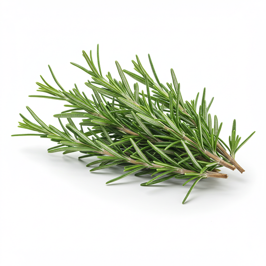 Organic Rosemary