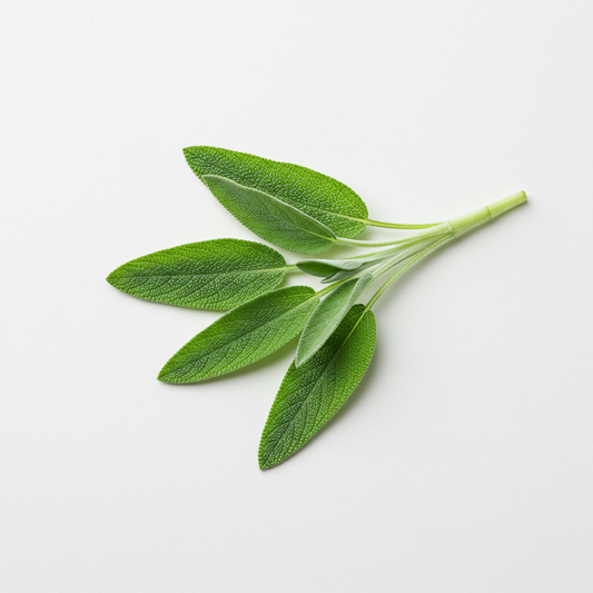 Organic Sage