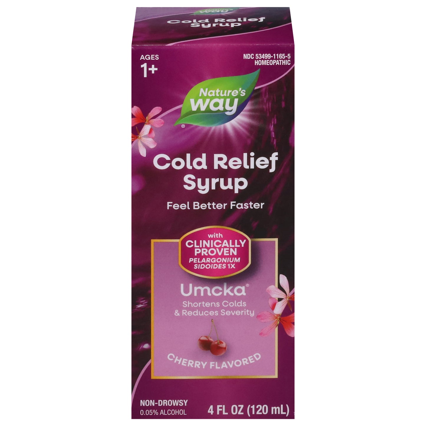 Nature's Way Non-Drowsy Cherry Flavored Cold Relief Syrup 4 fl oz