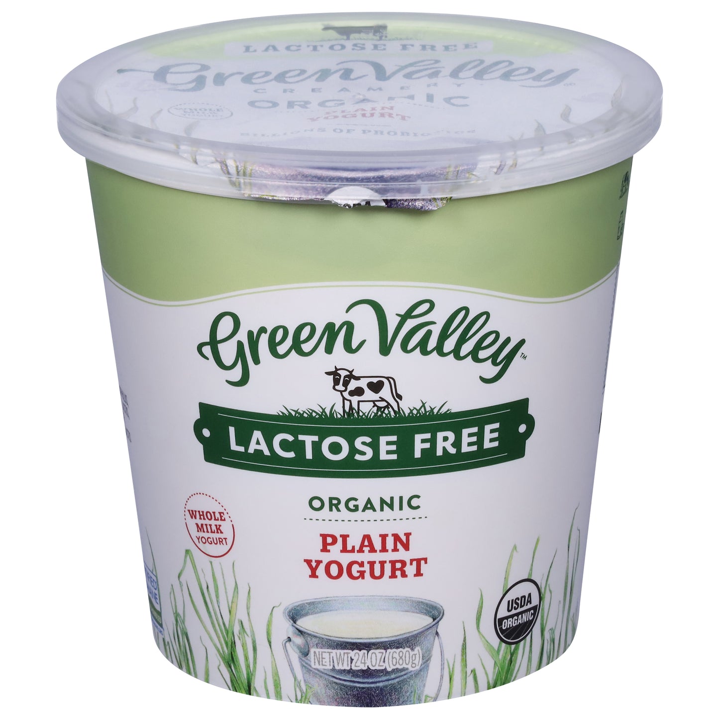 Green Valley Lactose Free Organic Plain Yogurt 24 oz
