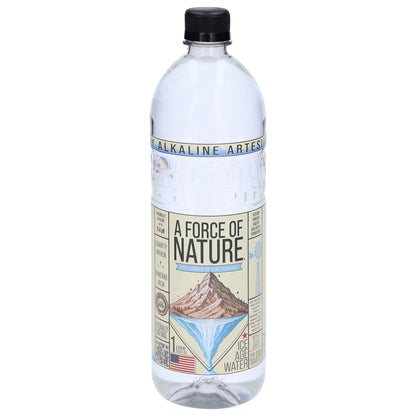 A Force of Nature Naturally Alkaline Ice Age Water 33.8 fl oz