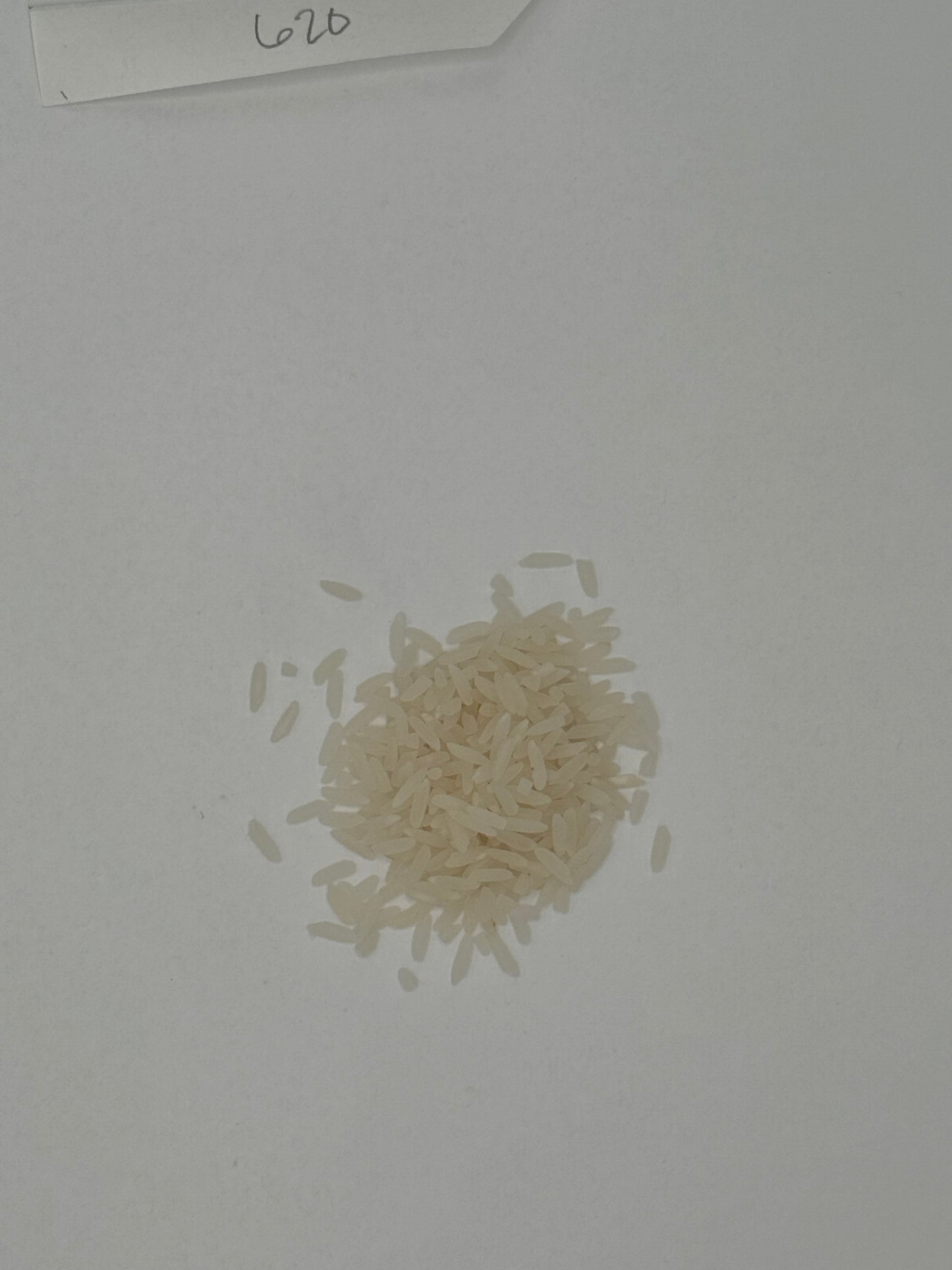 Organic White Jasmine Rice